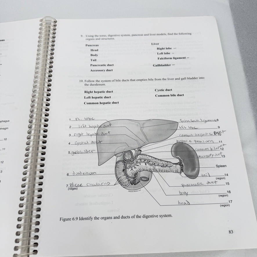 Hayden-McNeil Biology 152 Anatomy & Physiology Lab Manual 6th Edition Textbook