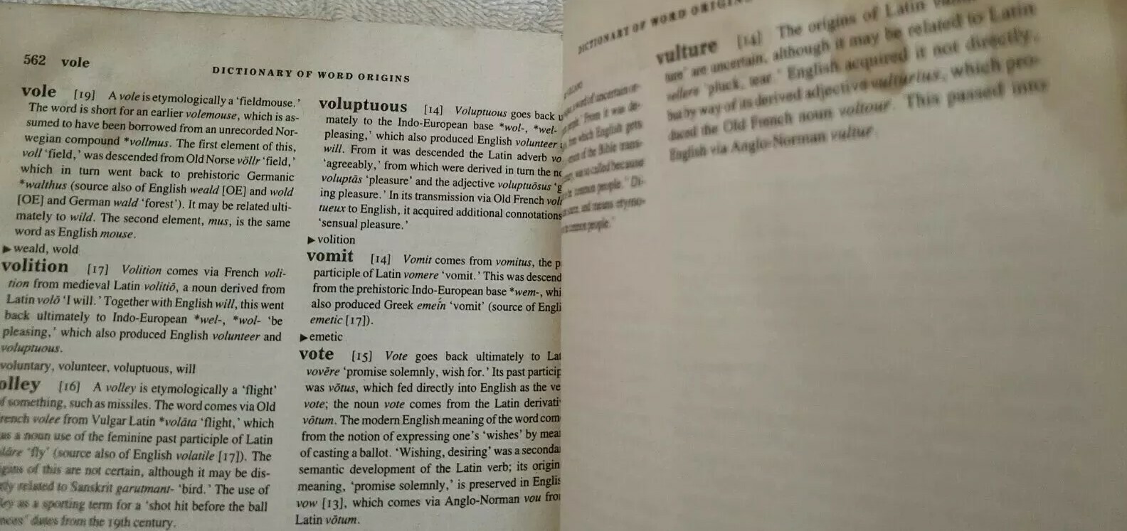 Dictionary of Word Origins by John Ayto 1991 Edition Paperback 592 Pages English