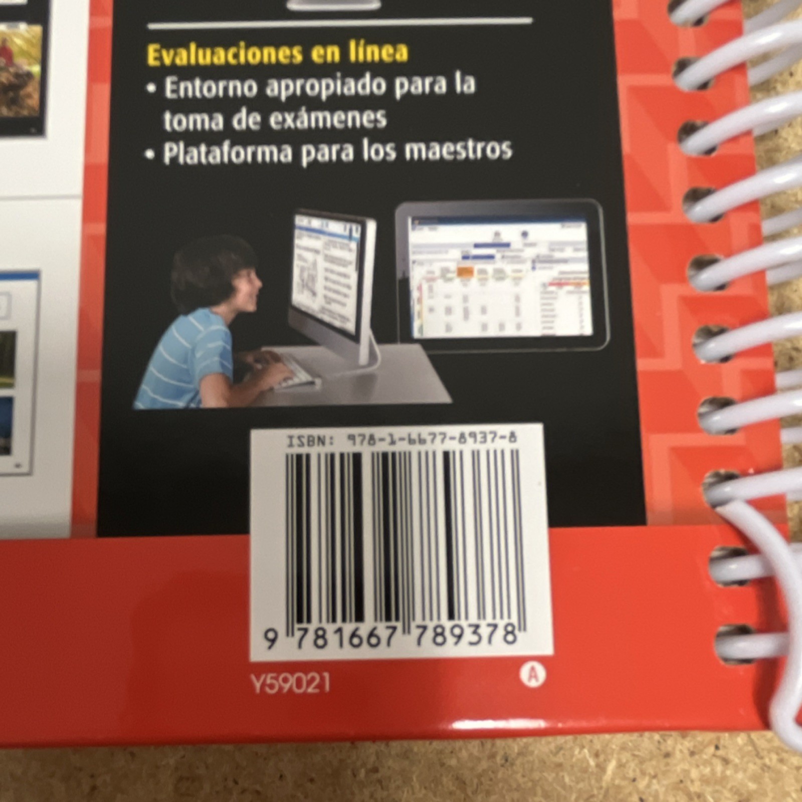 Benchmark Adelante Teacher’s Edition Grade K Spiral Bound Volume 1 (SPANISH)