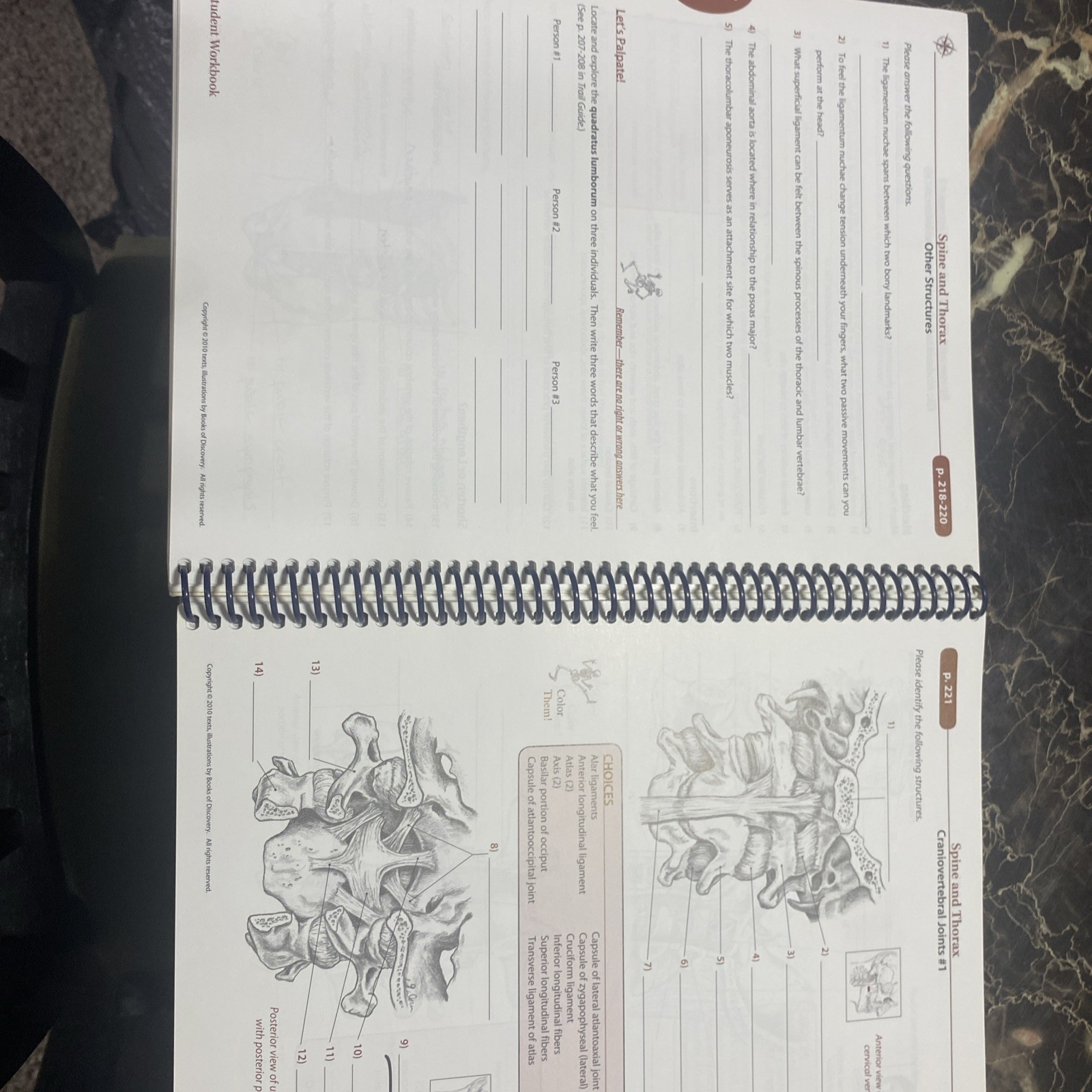 Trail Guide to the Body 4e Student Workbook by Andrew Biel (2011, Trade…