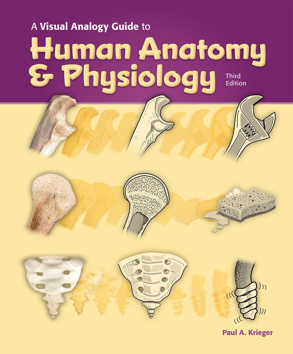 Visual Analogy Guide to Human Anatomy & Physiology by Paul A. Krieger