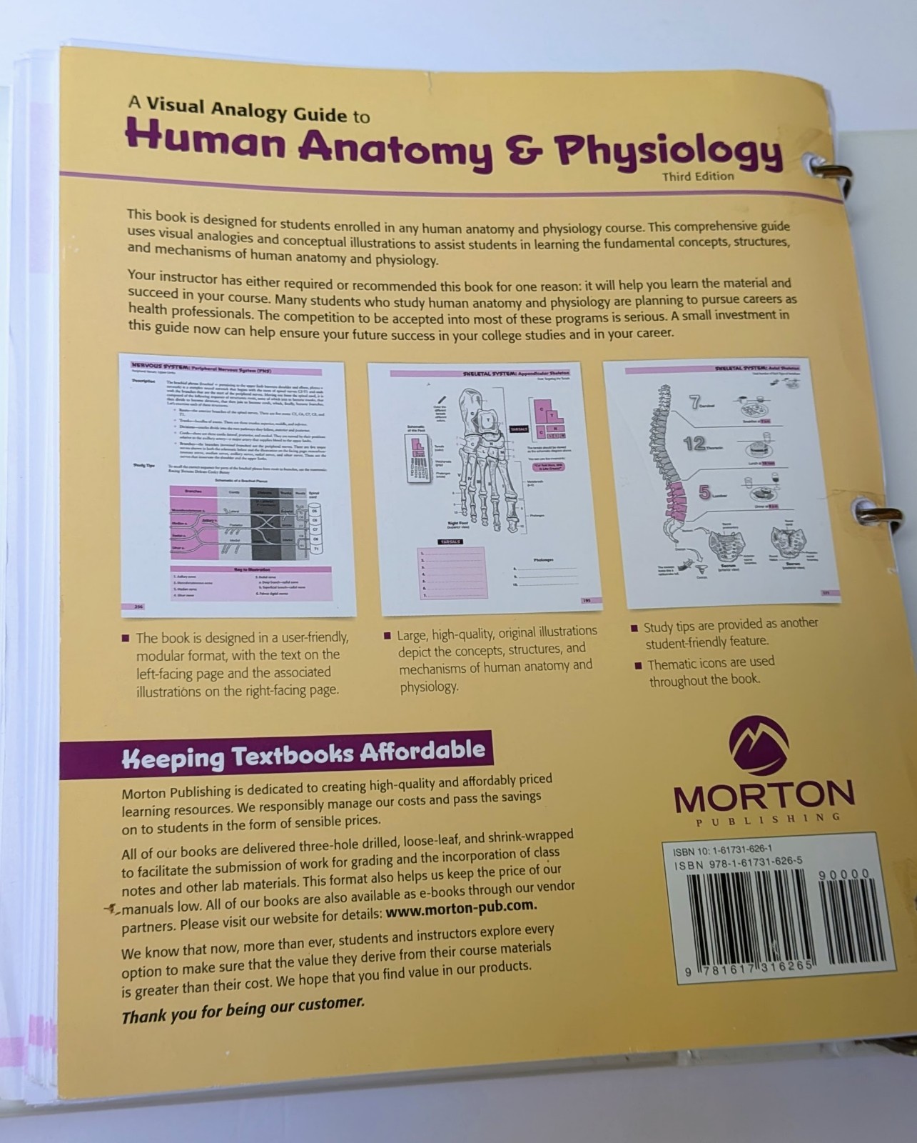 Human Anatomy & Physiology 3e – Paul Krieger – isbn 9781617316265