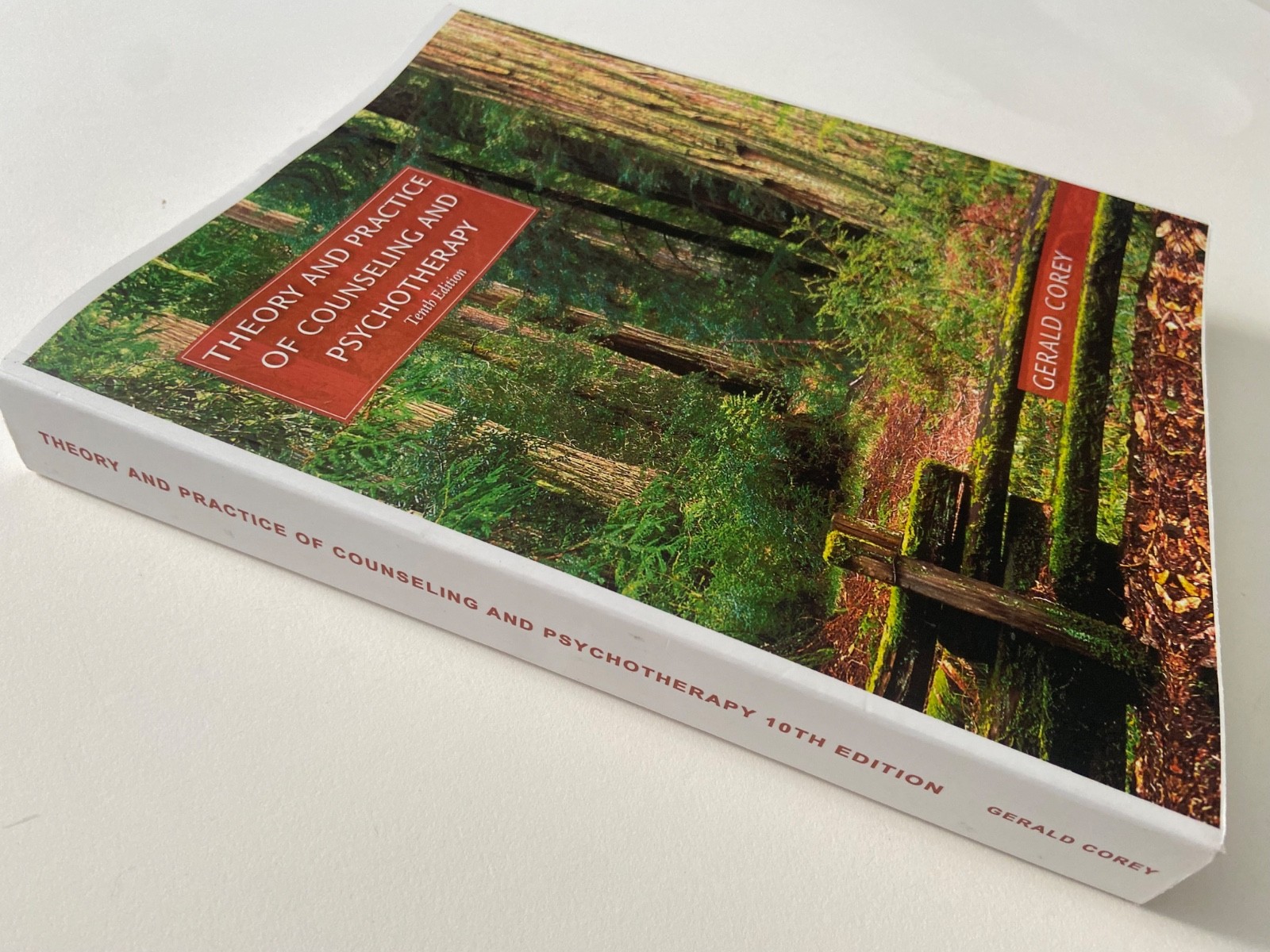 Theory and Practice of Counseling and Psychotherapy 10th Tenth Edition Paperback