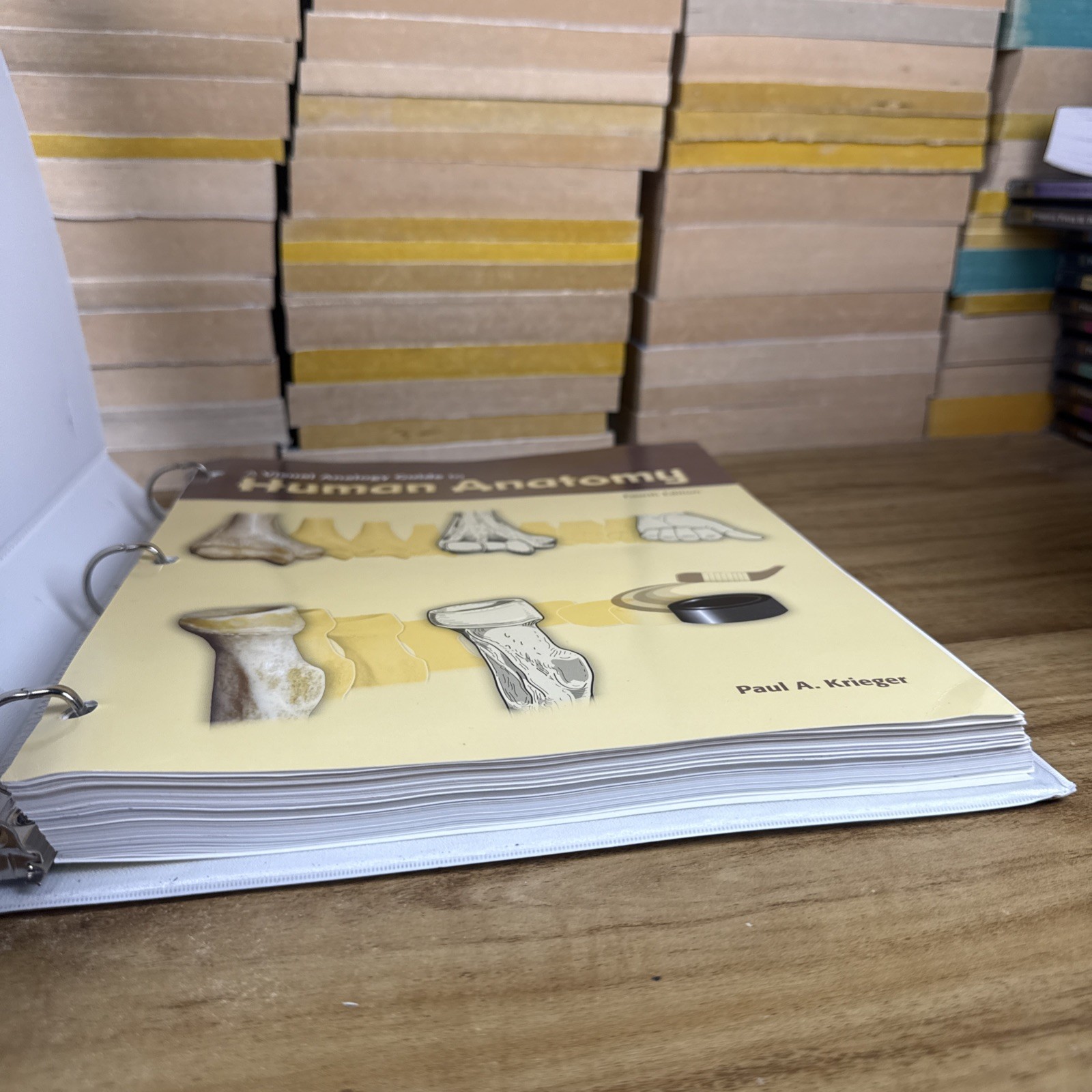 Visual Analogy Guide to Human – Loose Leaf, by Krieger Paul A. – Acceptable