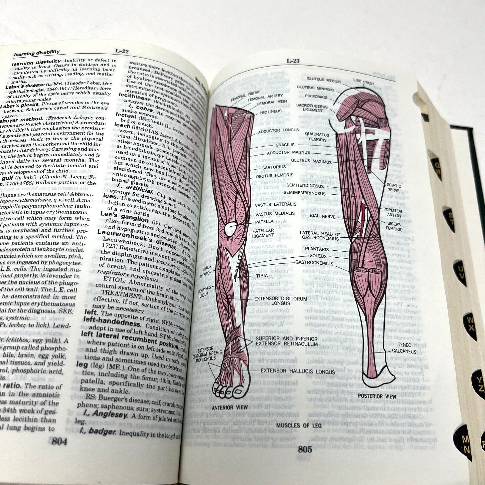 Taber’s Cyclopedic Medical Dictionary – Edition 14 Hardcover 1981 Illustrated