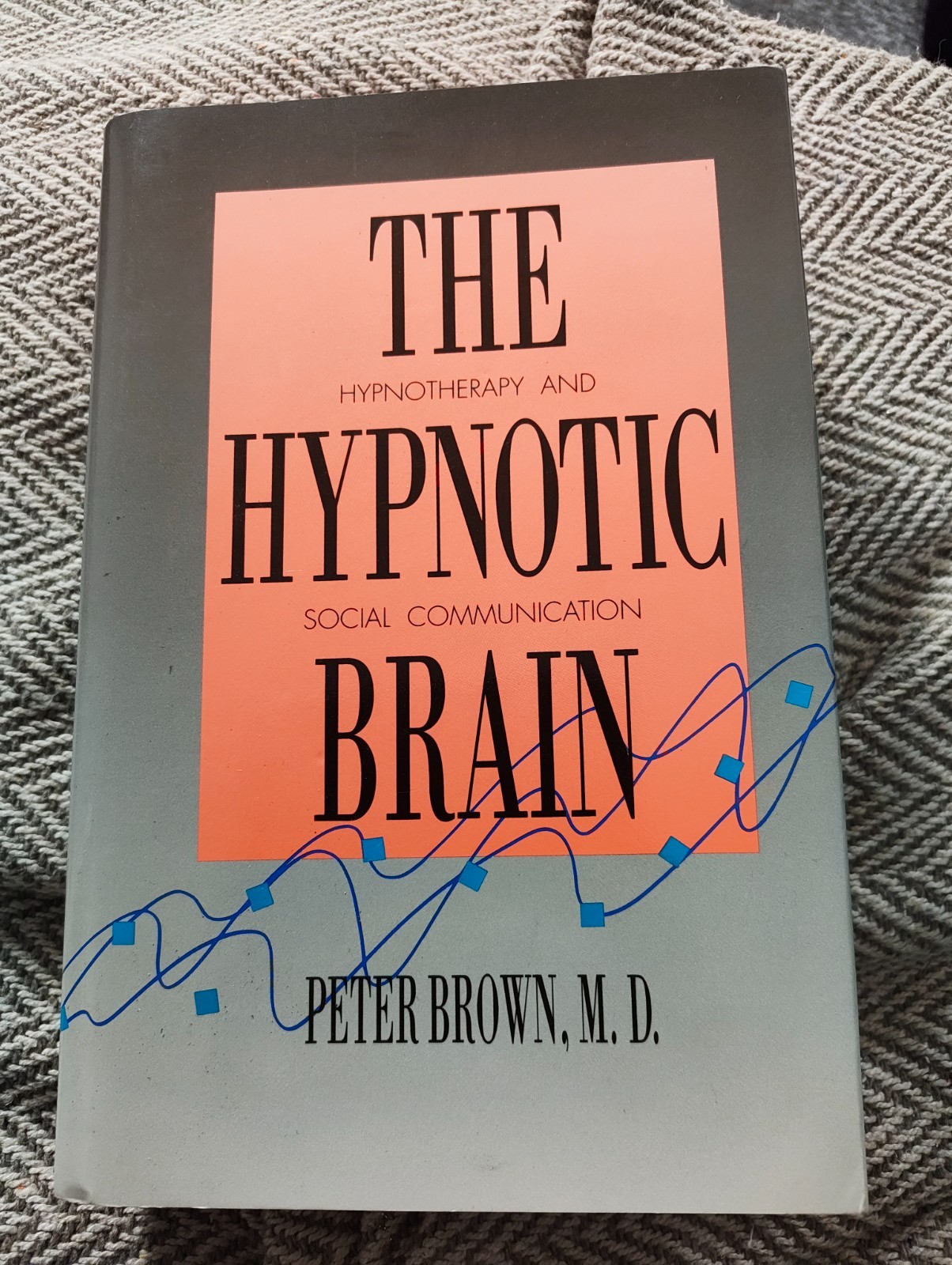 Hypnotic Brain : Hypnotherapy and Social Communication by Peter Brown (1991)