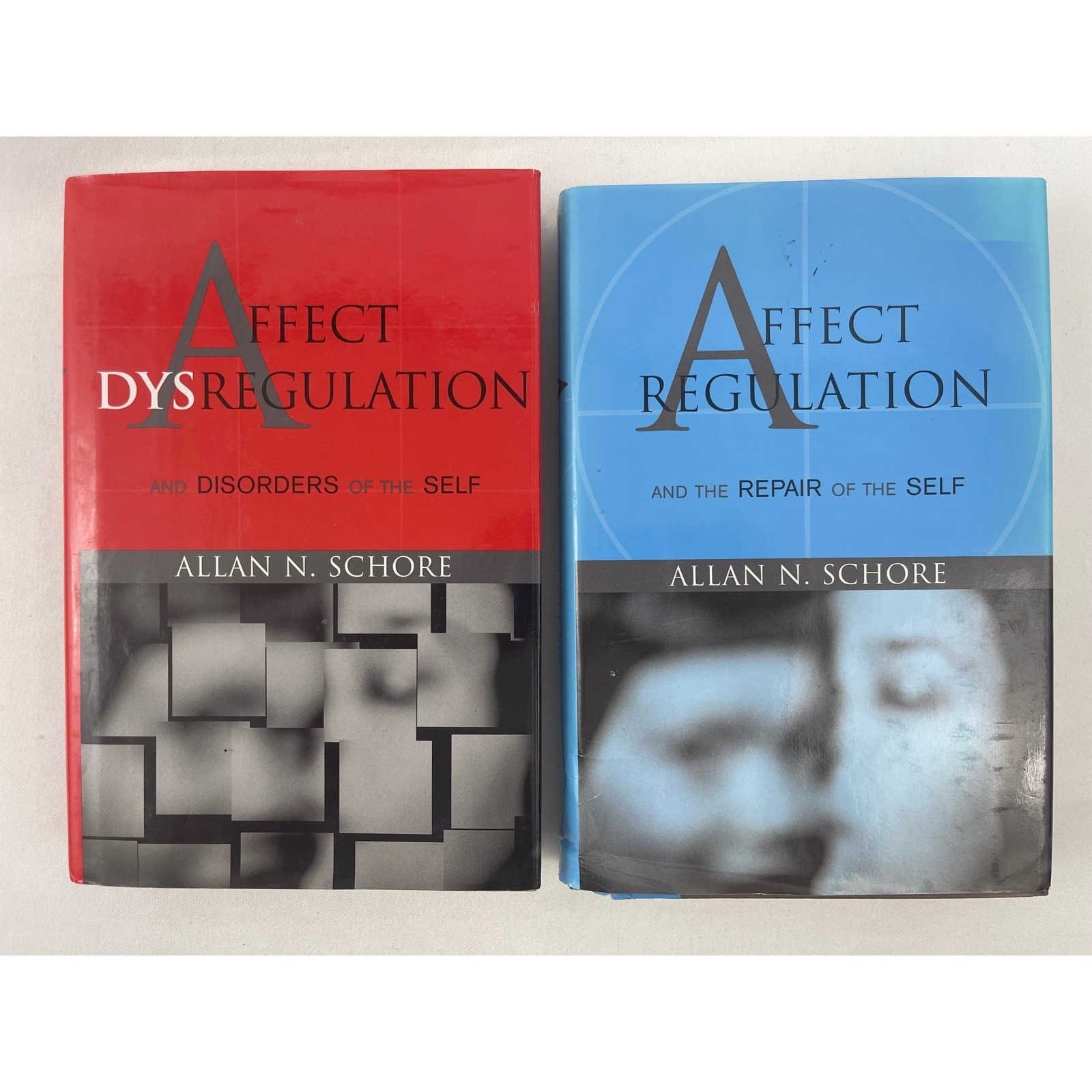 Allan N Schore Affect Regulation 2 Vol Set Disorders Repair of the Self 1st Ed
