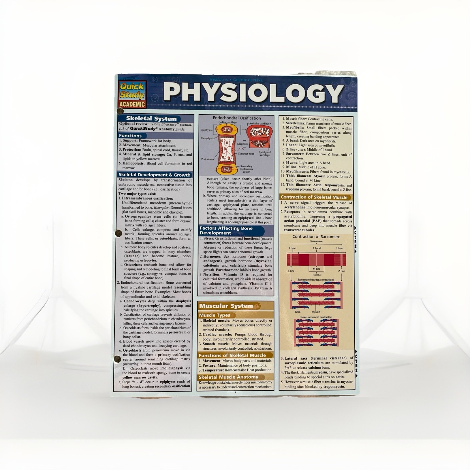 Anatomy and Physiology Covers All Major Systems of The Body, 6 packs