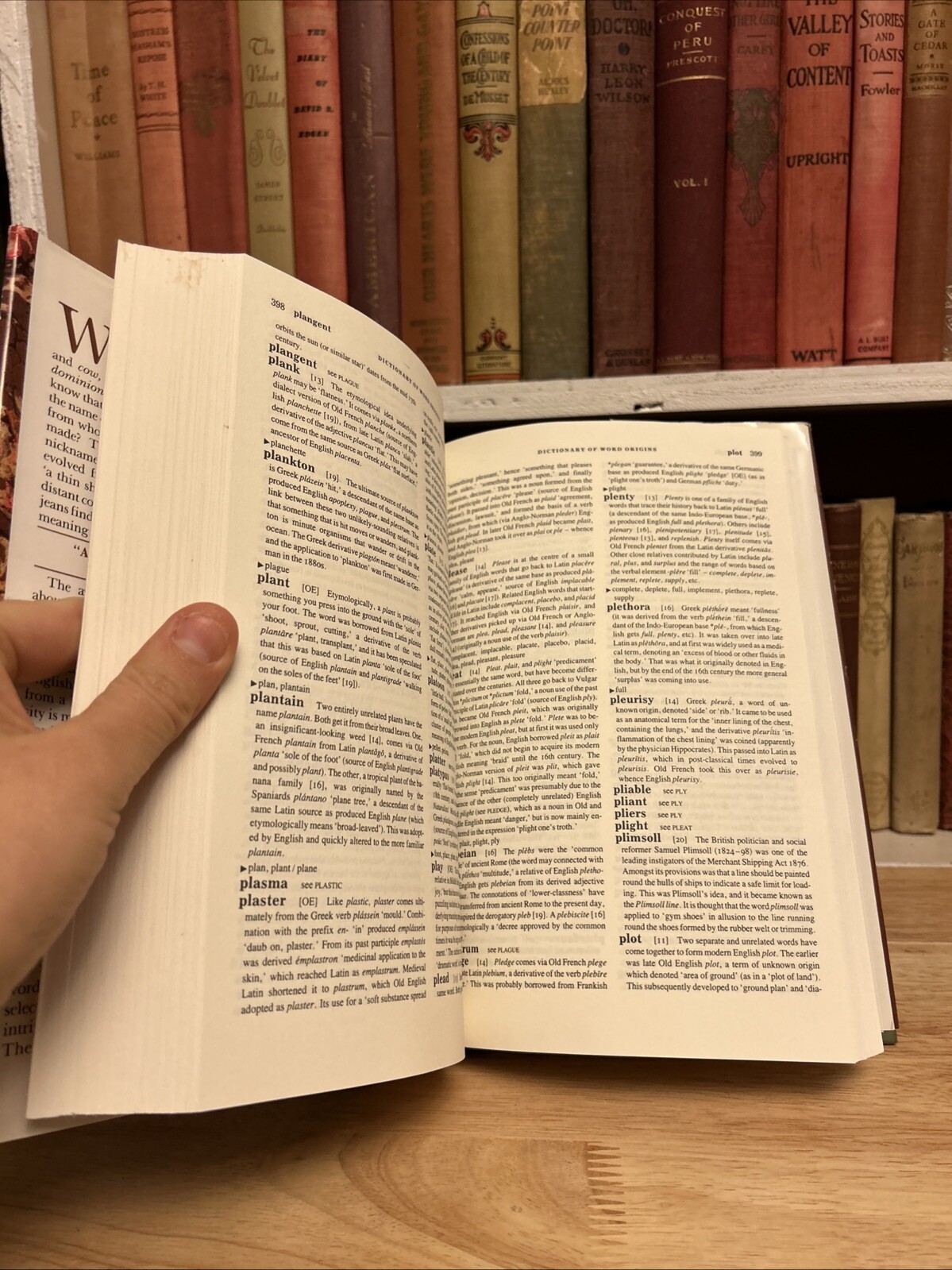 Arcade Dictionary of Word Origins by John Ayto. Arcade Publishing 1990 HCDJ
