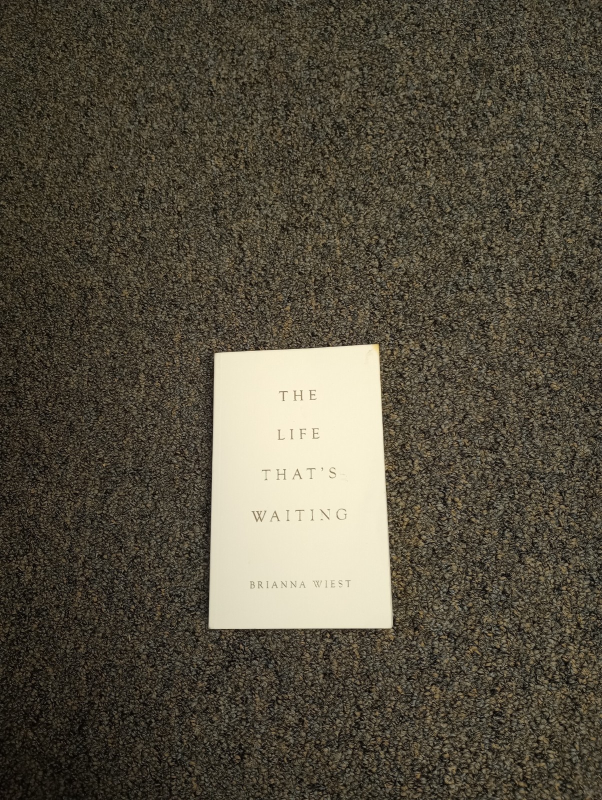 Life That’s Waiting by Brianna Wiest (2025, Trade Paperback)