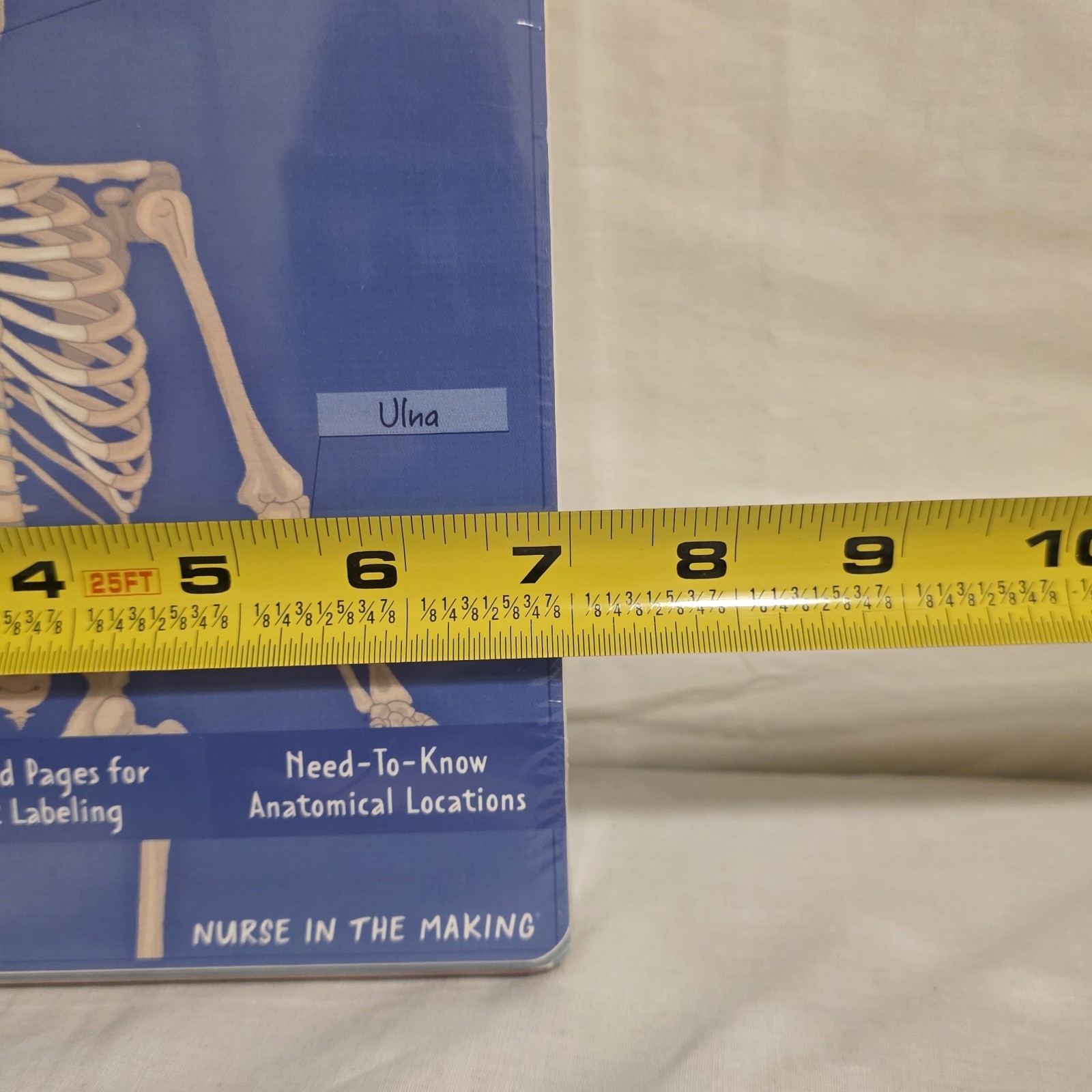 Human Anatomy Label Lab Workbook Medical Students 100+ Illustrations Laminated