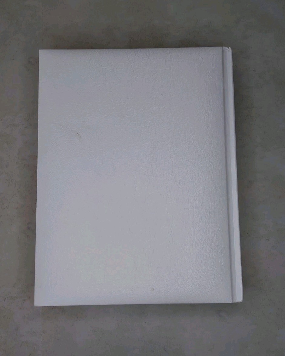 White Holy Bible The New American Bible Catholic