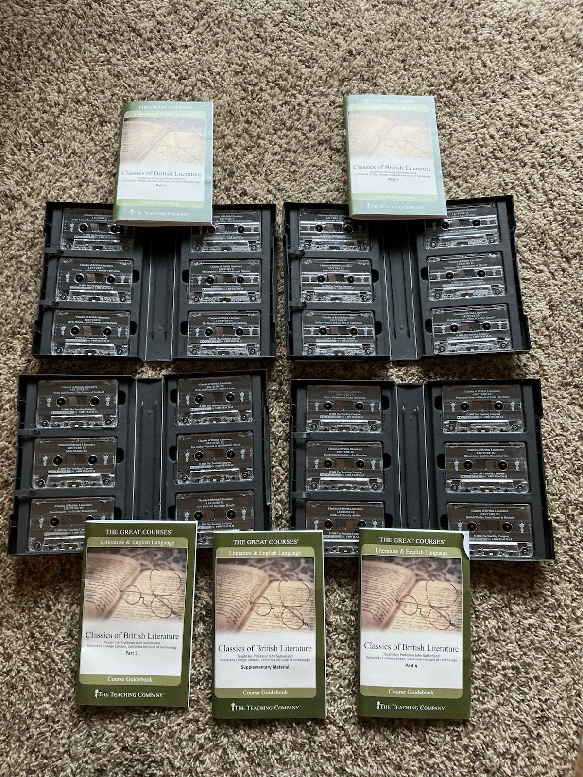 The Teaching Company Great Courses Mixed Lot