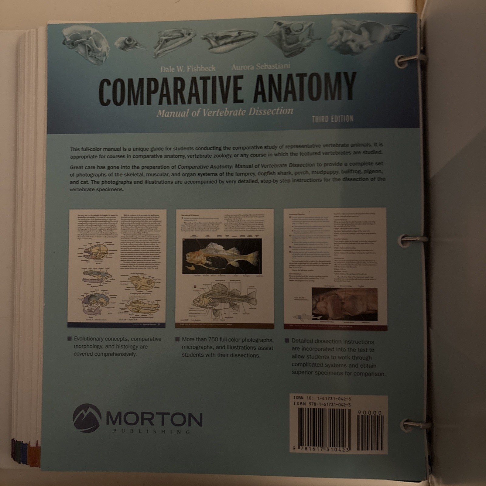 Comparative Anatomy : Manual of Vertebrate Dissection by Aurora M. Sebastiani…