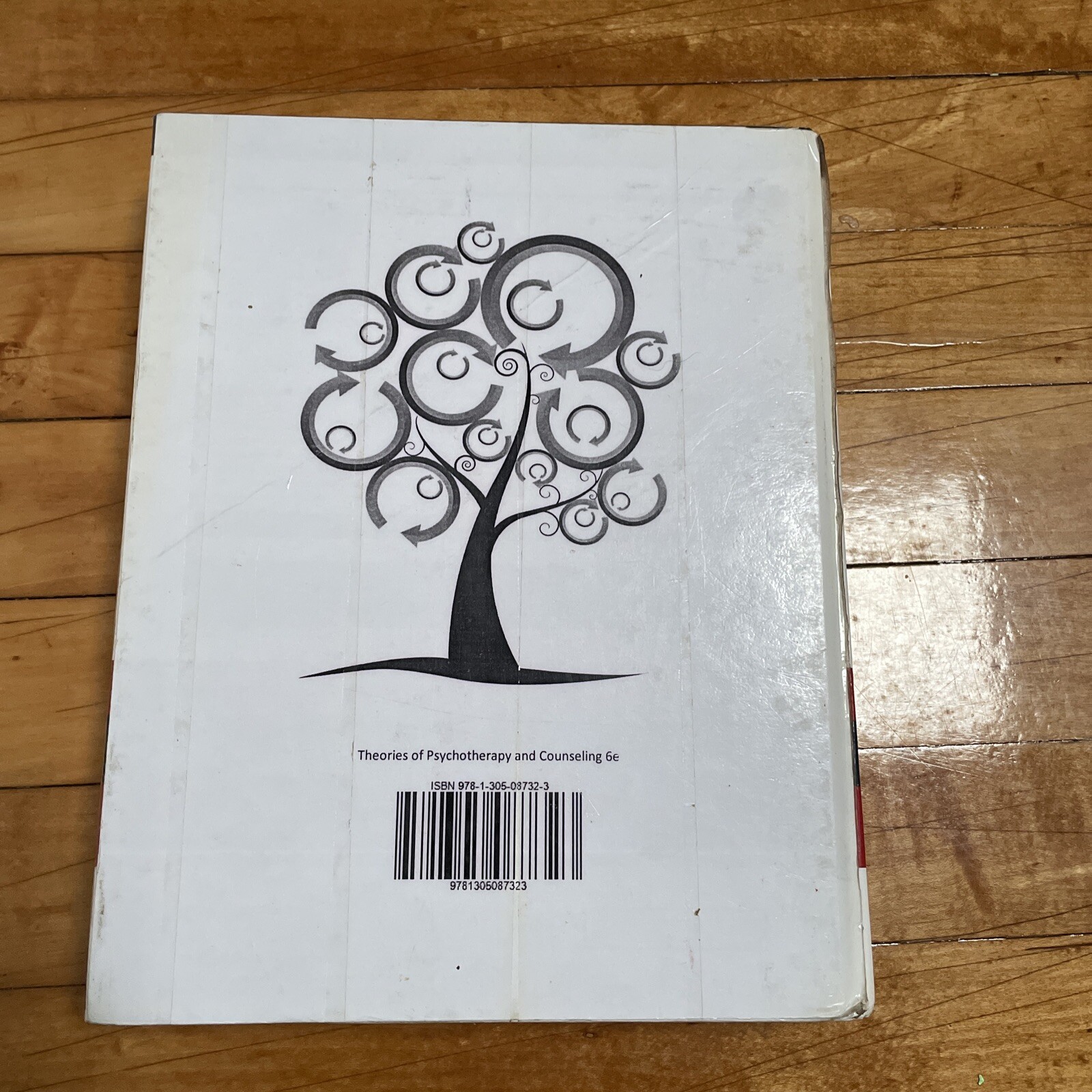 Theories of Psychotherapy & Counseling: Concepts and Cases – Hardcover – Pre-own