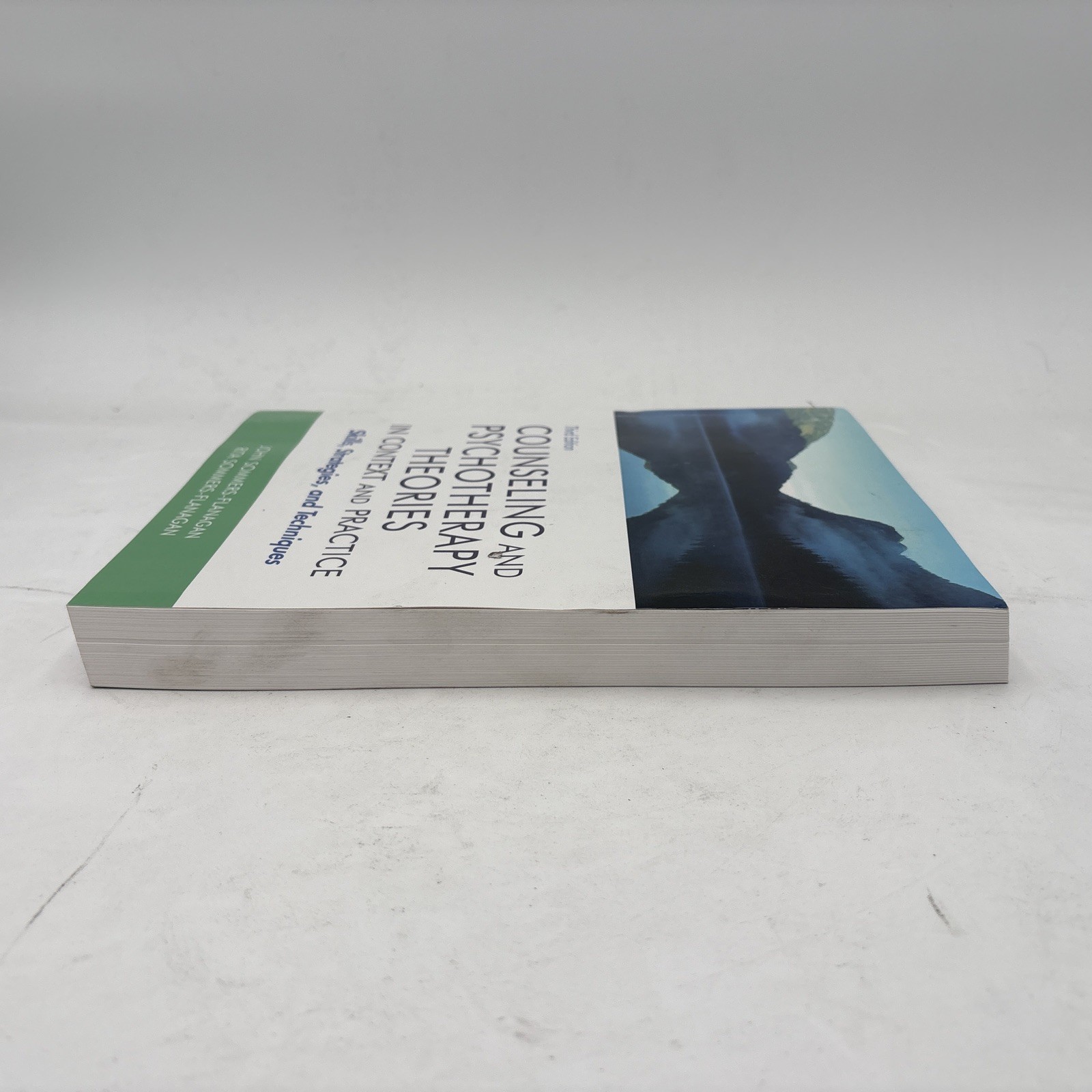 Counseling & Psychotherapy Theories 3rd Ed Sommers-Flanagan Like New I1-11