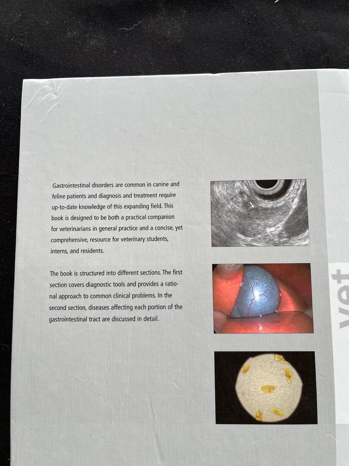 Small Animal Gastroenterology by Jörg M. Steiner (2008, Hardcover)