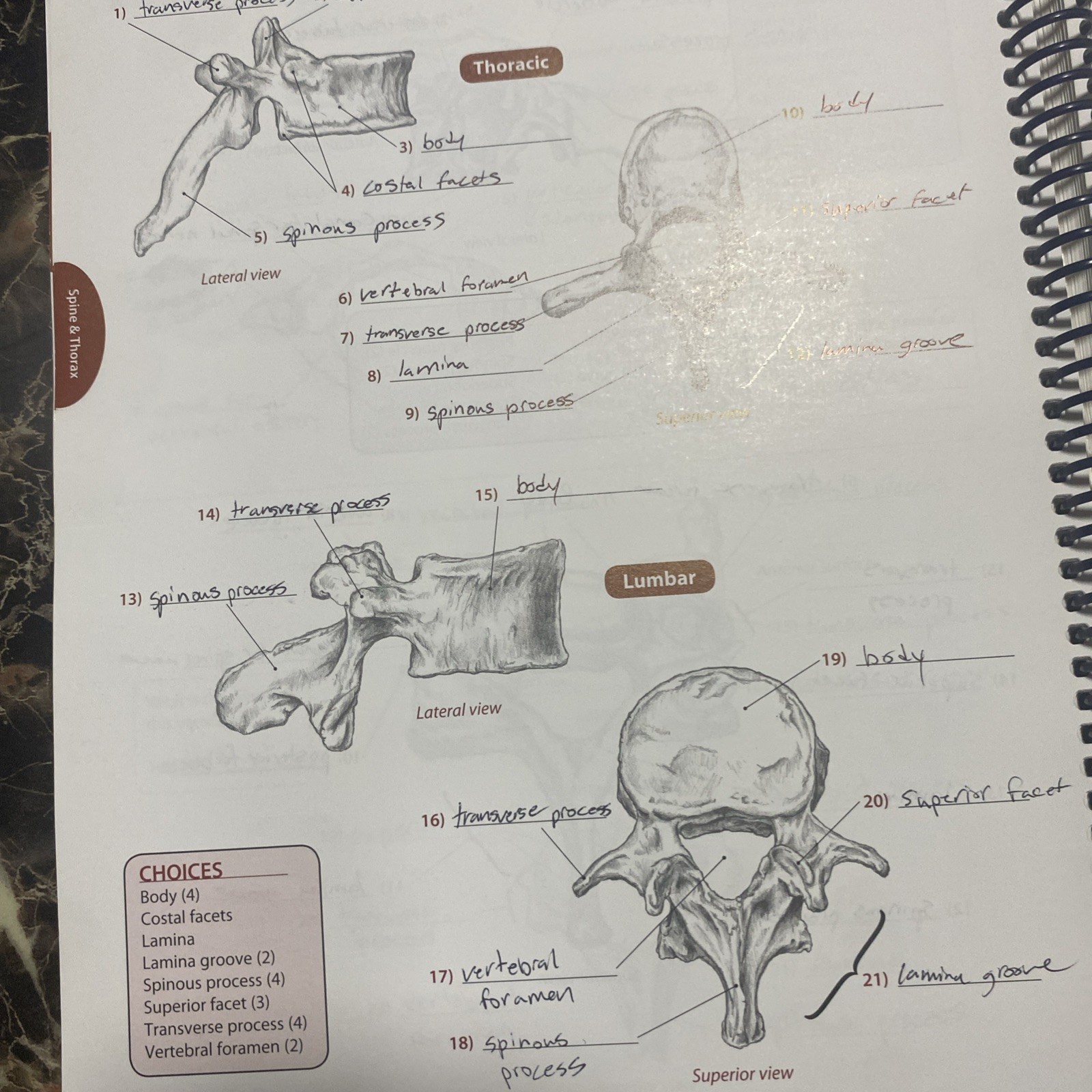 Trail Guide to the Body 4e Student Workbook by Andrew Biel (2011, Trade…