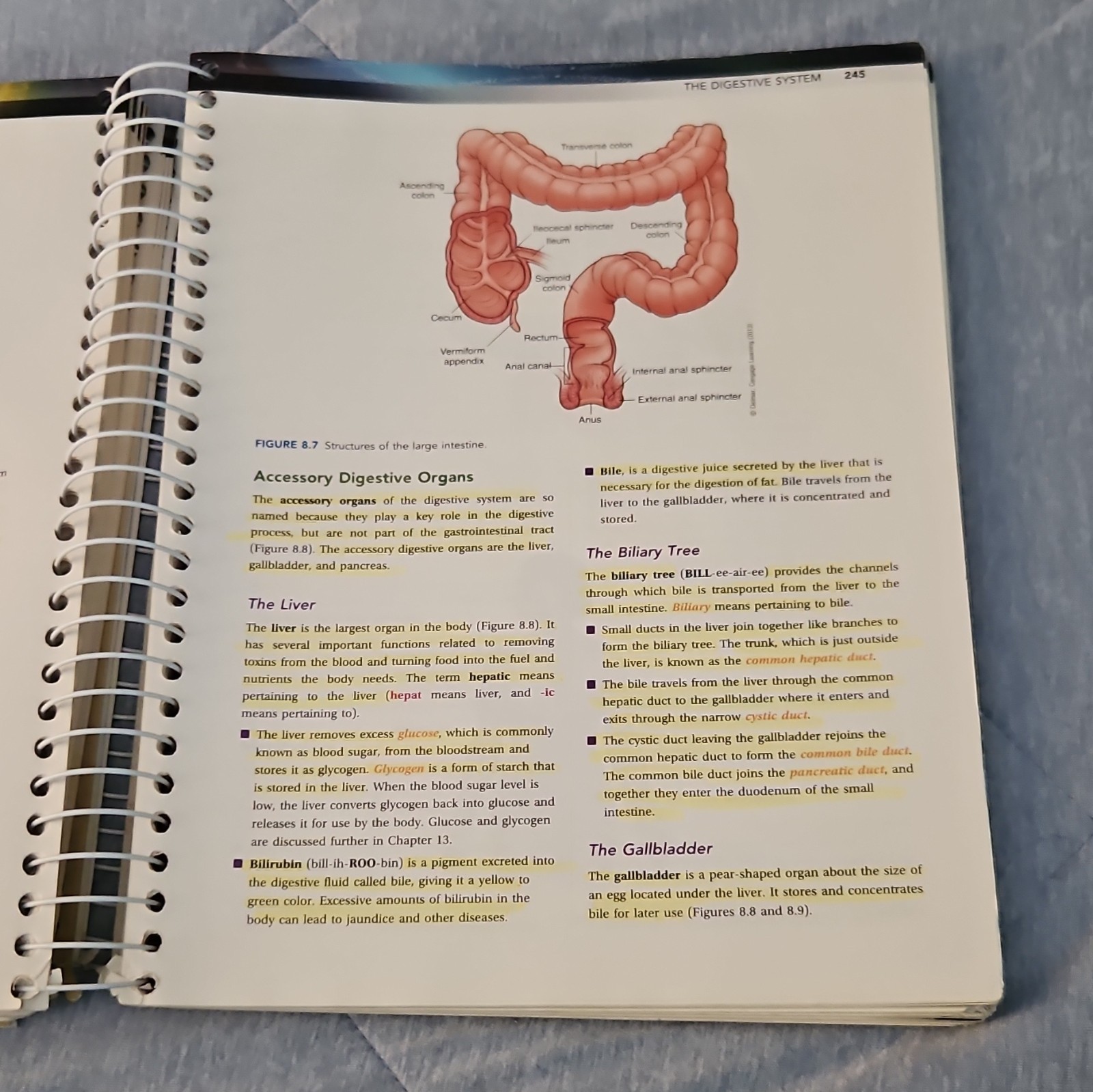 Delmar Medical Terminology for Health Professions 7th Spiral+CD Ehrlich