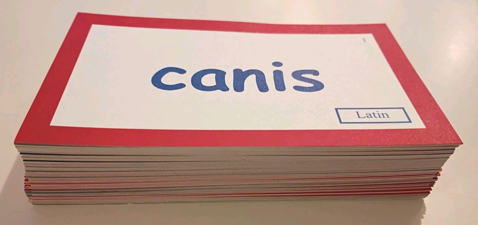 English From The Roots Up Volume 2 Word Cards Latin Greek Flashcards Complete