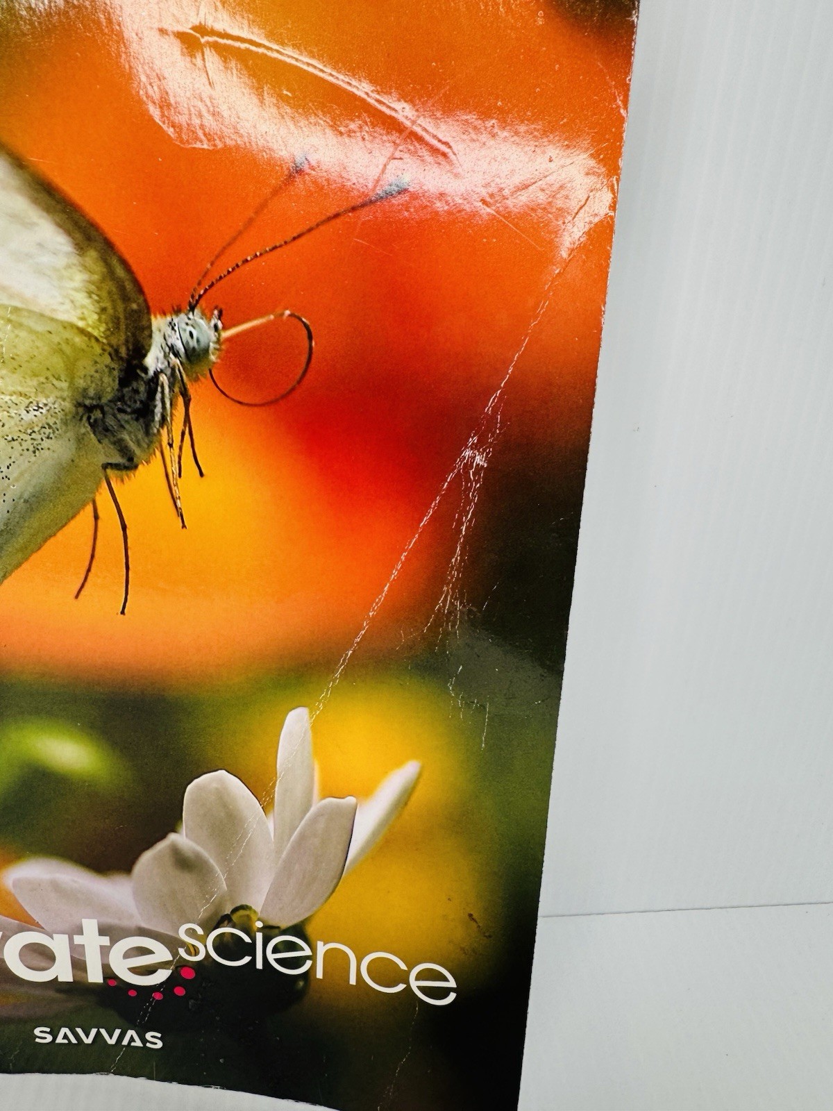 Elevate Science South Carolina Grade 2 Savvas Learning Student Textbook