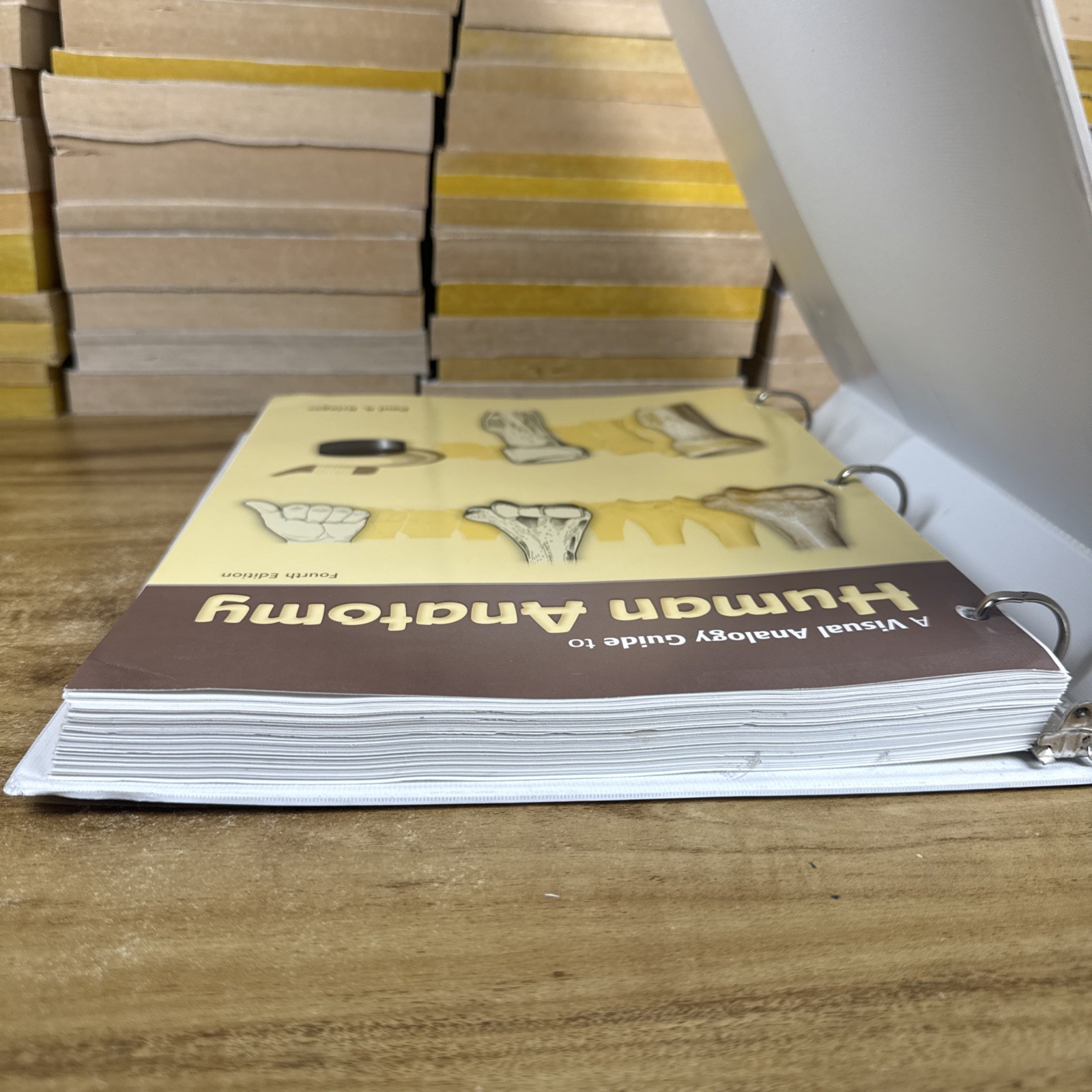 Visual Analogy Guide to Human – Loose Leaf, by Krieger Paul A. – Acceptable