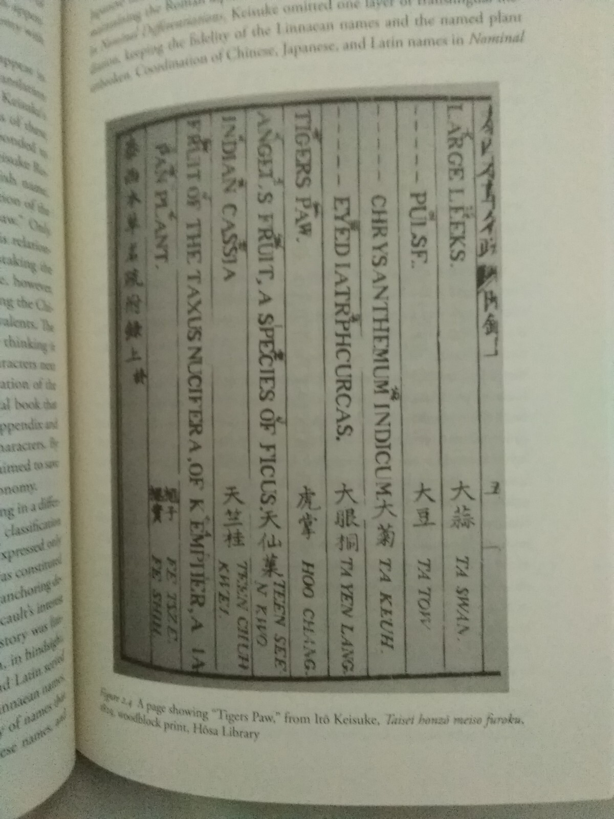 The Premise of Fidelity: Science, Visuality, Representing Real 19th C. Japan