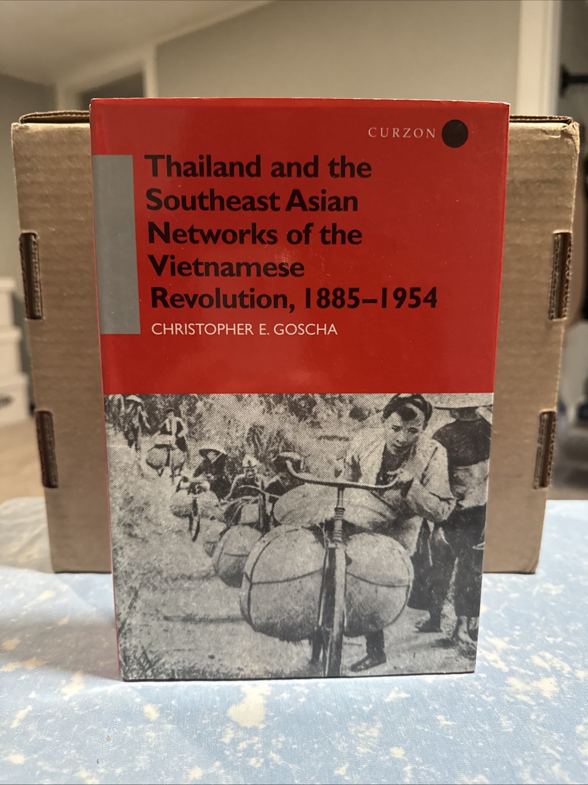 Thailand and the Southeast Asian Networks of The Vietnamese Revolution, 1885