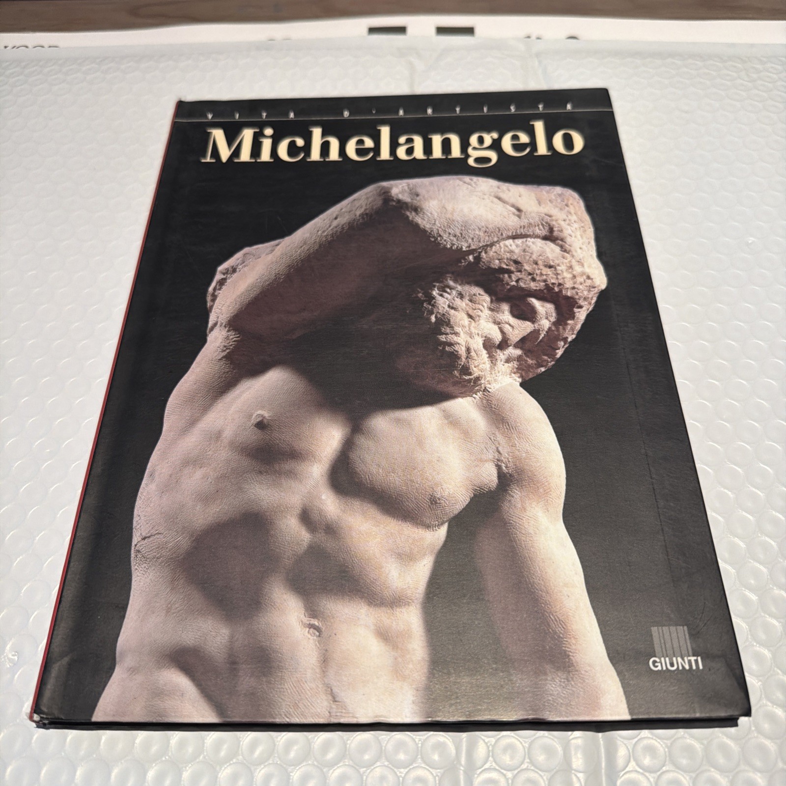 VITA D’ARTISTA. MICHELANGELO. ENRICA CRISPINO. GIUNTI.