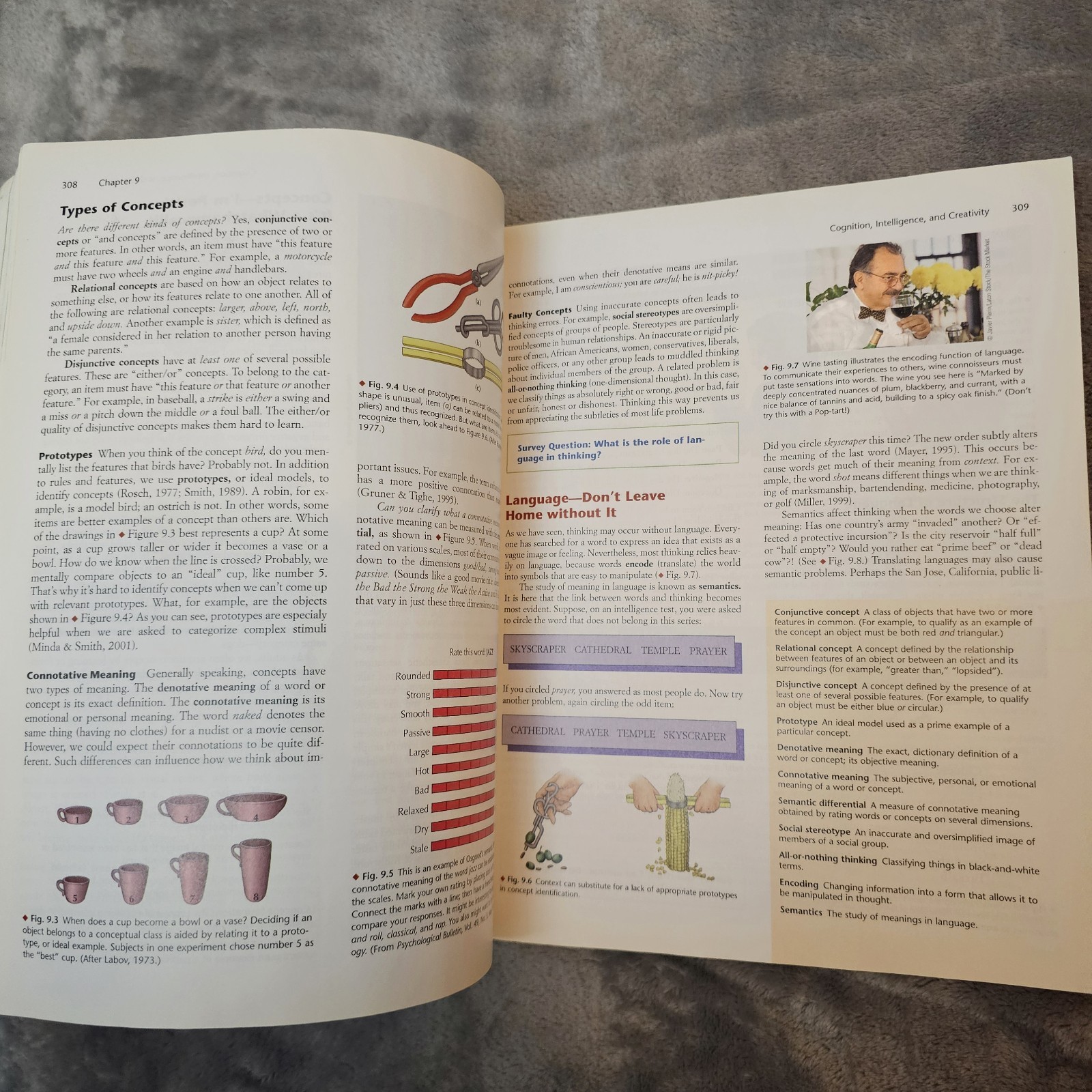 Essentials Of Psychology 9th Edition By Dennis Coon Paperback FLAWS