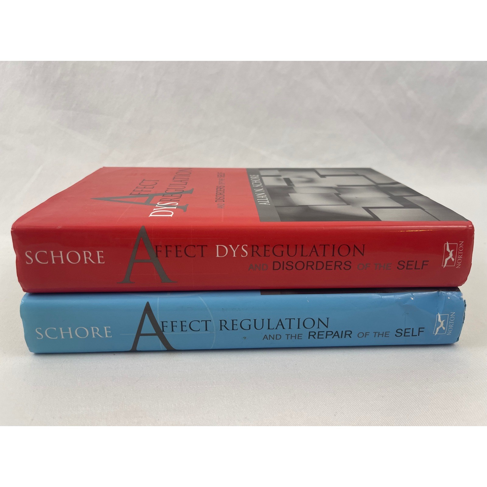 Allan N Schore Affect Regulation 2 Vol Set Disorders Repair of the Self 1st Ed
