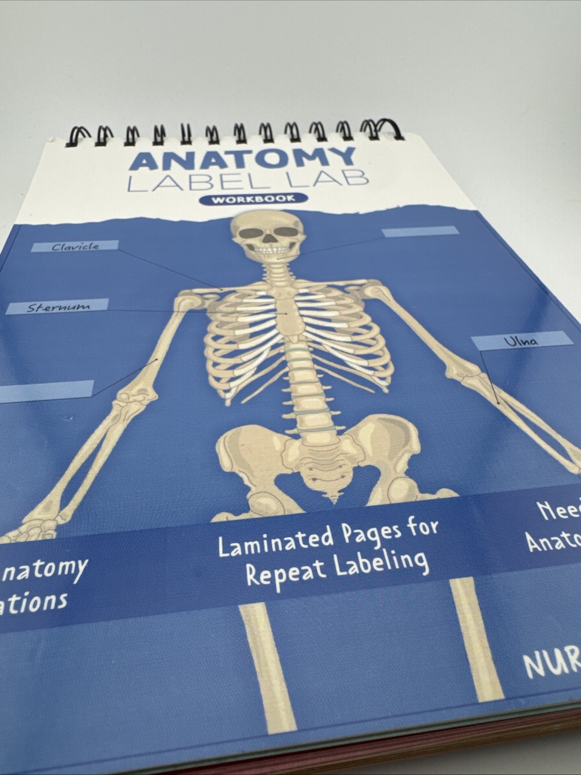 Human Anatomy Label Lab Workbook Medical Students 100+ Illustrations Laminated