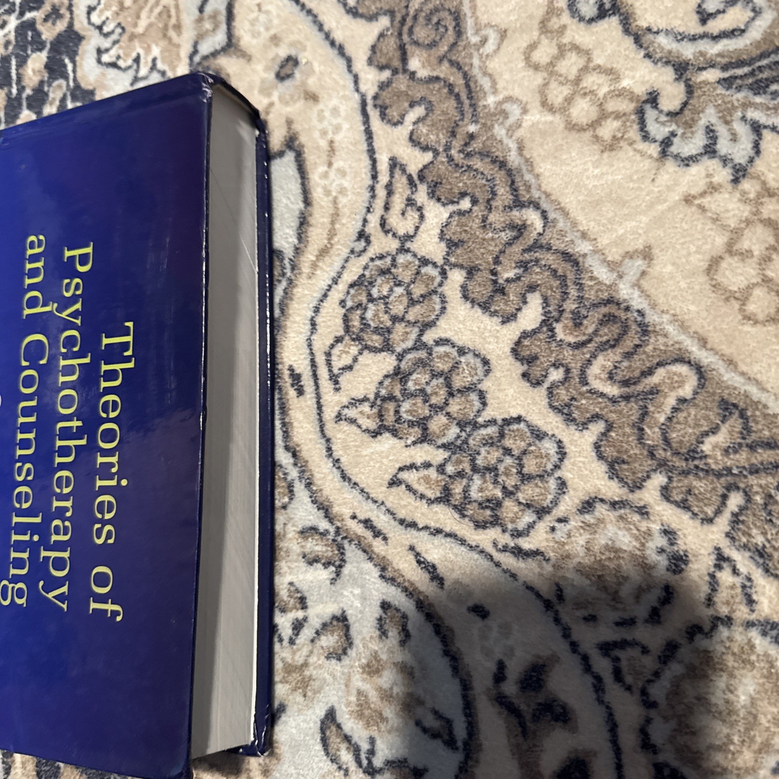 Theories of Psychotherapy & Counseling: Concepts and Cases 6th Edition *GOOD*