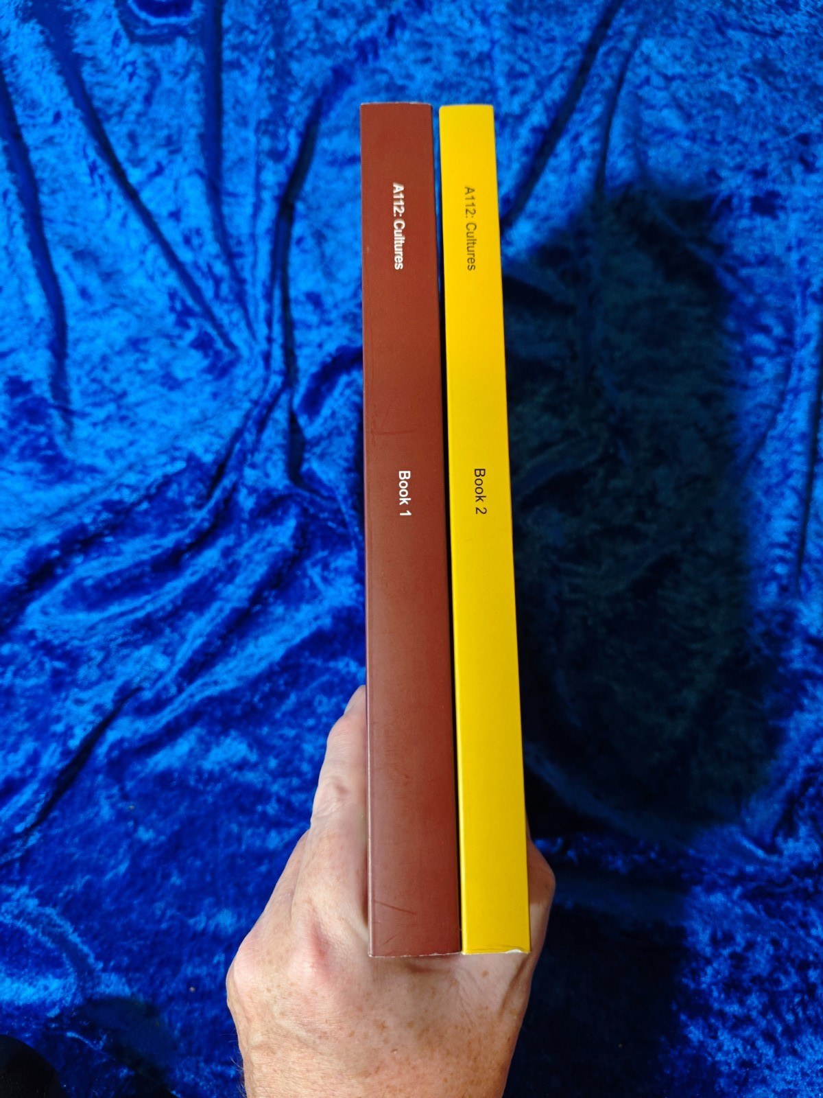 The Open University A112 Cultures Books 1 & 2 Course Textbook / OU – LIKE NEW!