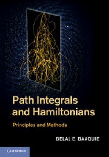 Path Integrals and Hamiltonians
