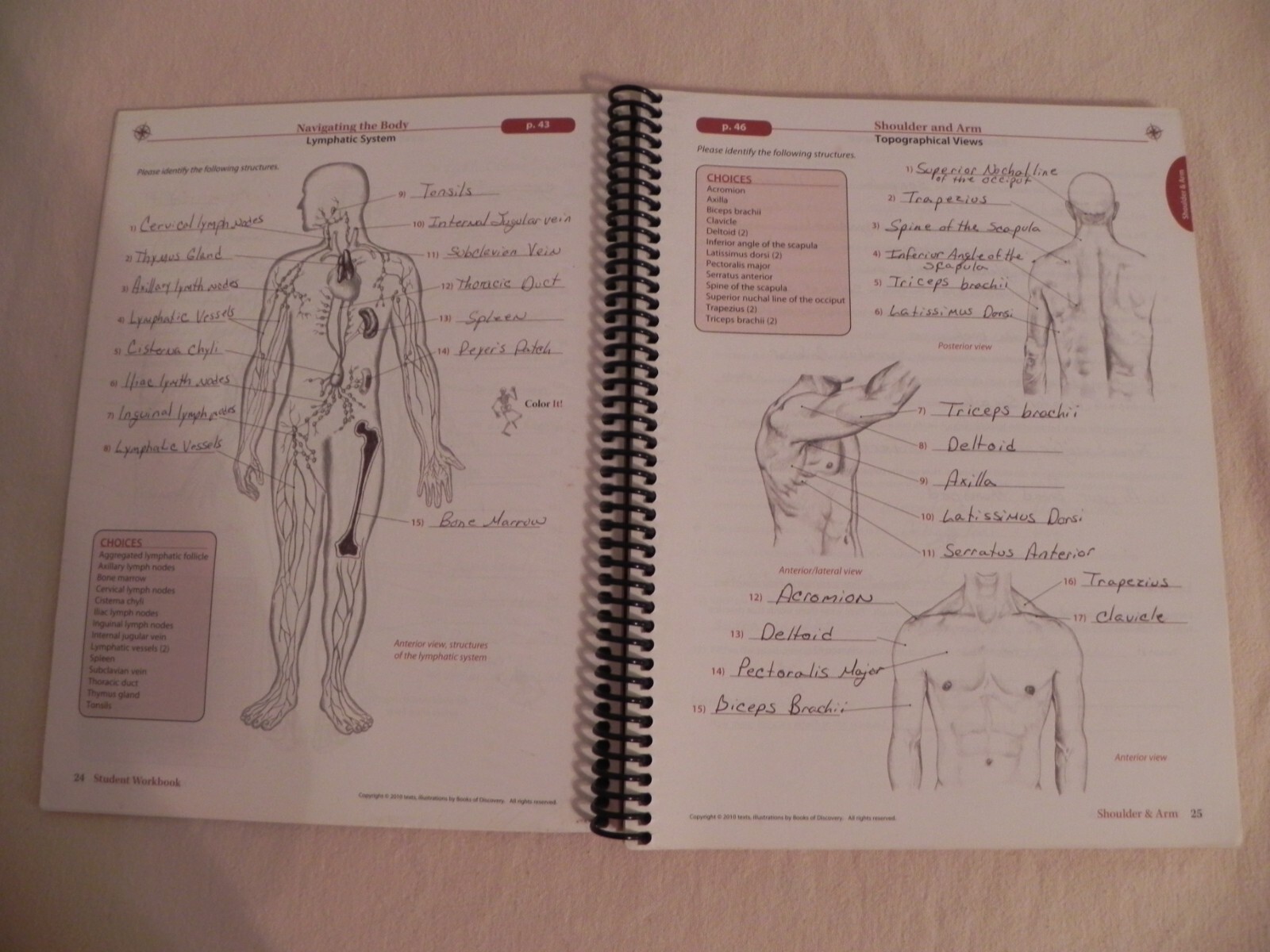 Trail Guide To The Body By Andrew Biel, Student Workbook 4th Edition