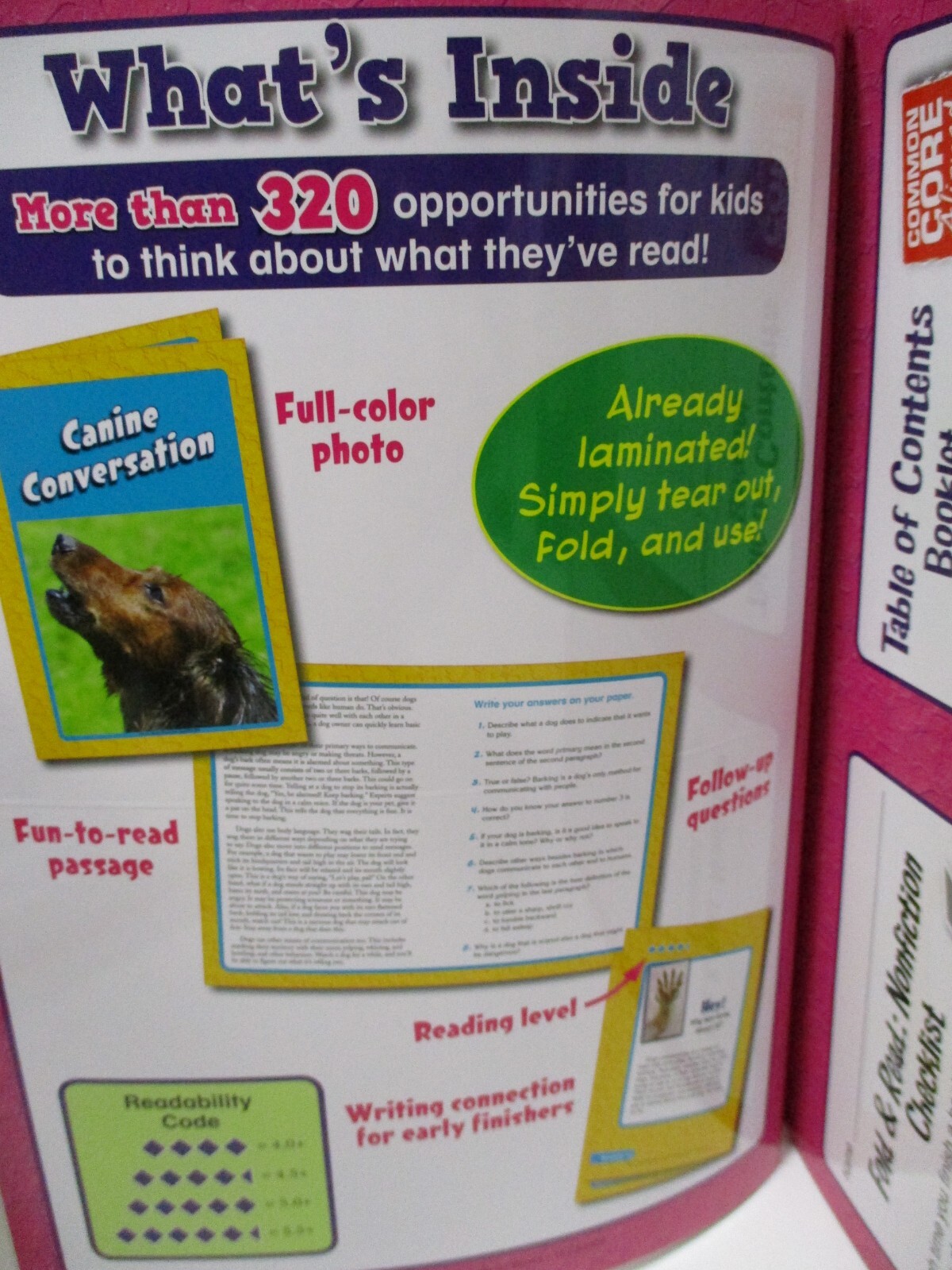 Prelaminated Mailbox Fold & Read Grades 4-6 Nonfiction Mini Books Homeschool
