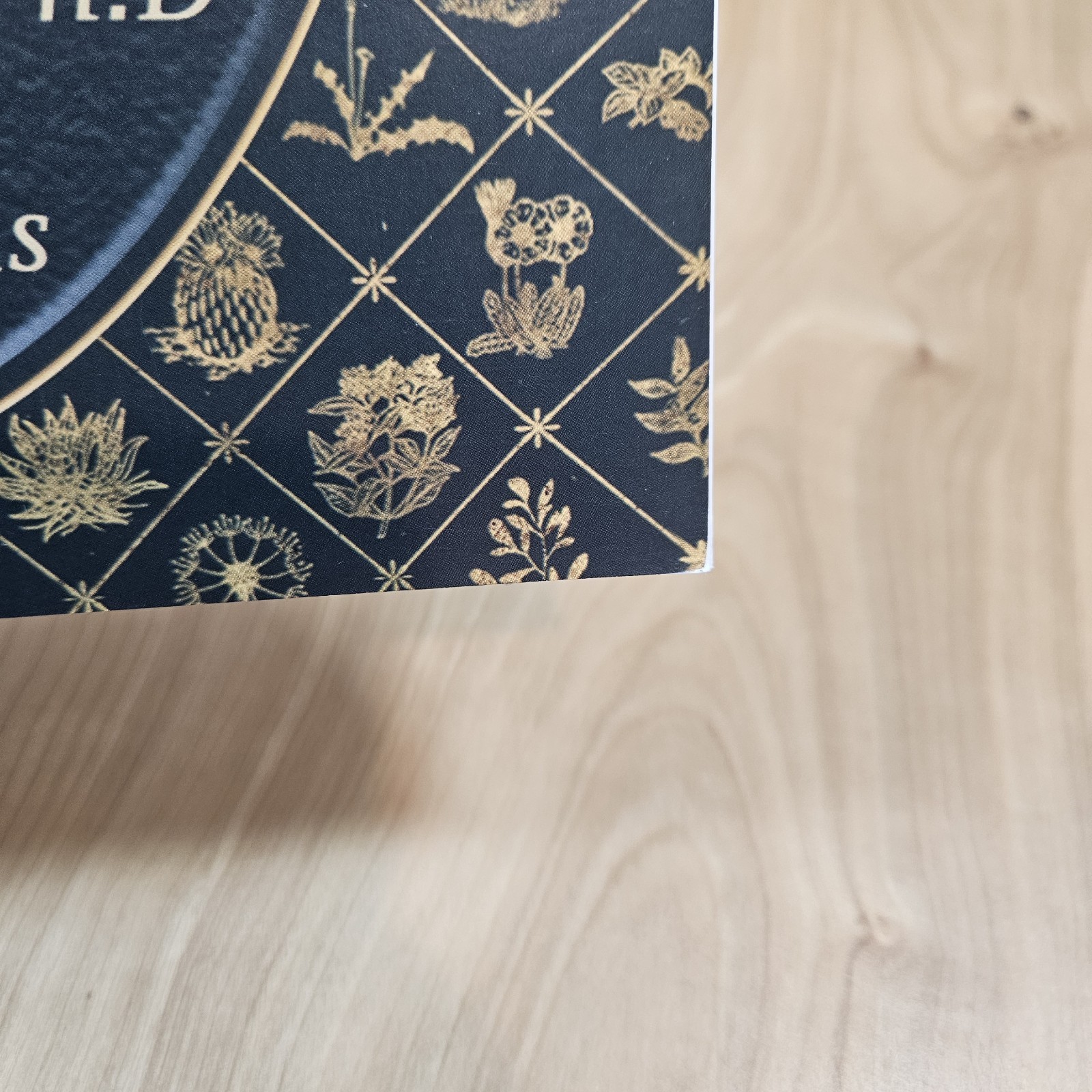 Lost Book of Remedies by Nicole Apelian and Claude Davis Sr.
