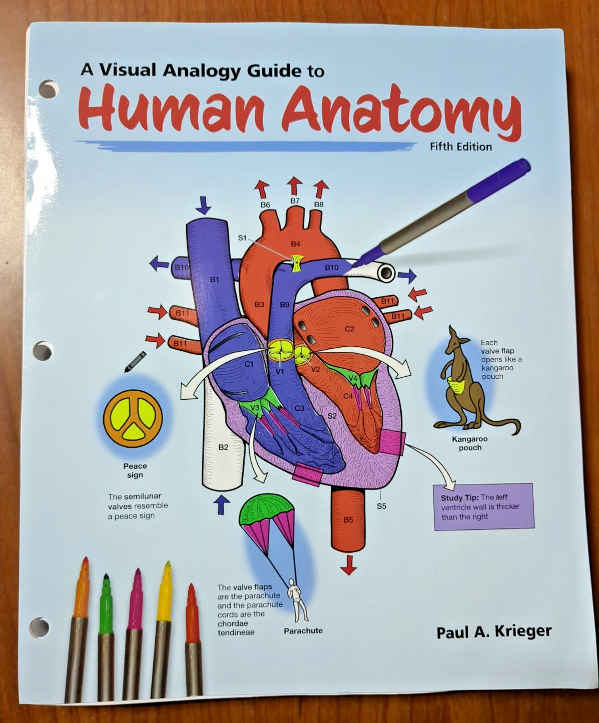 Krieger : A Visual Analogy Guide to Human – Loose Leaf, ring bound, 5th Edition