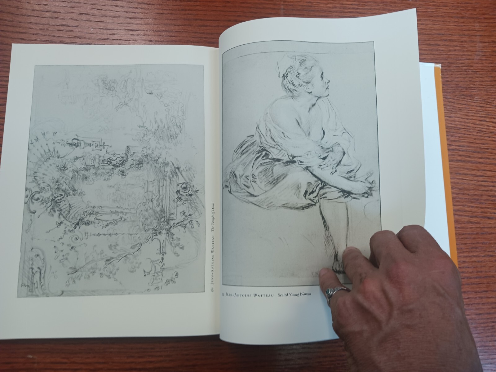 European Drawings, 1375-1825 (1981, HC w DJ) Pierpont Morgan