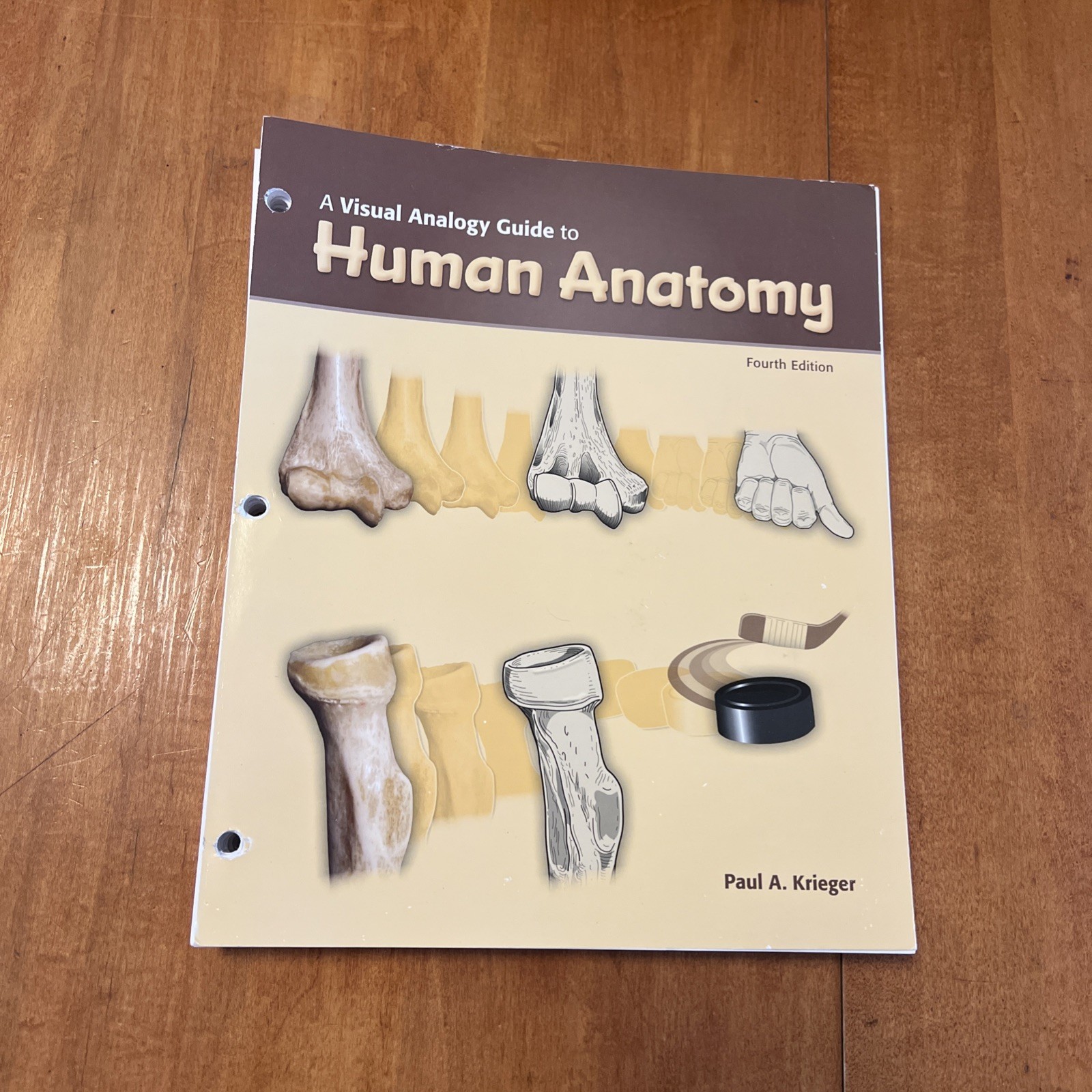Visual Analogy Guide to Human Anatomy, 4e by Paul A. Krieger (2017, Ringbound)