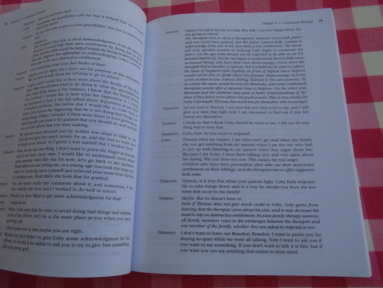 Case Conceptualization in Family Therapy by Michael Reiter