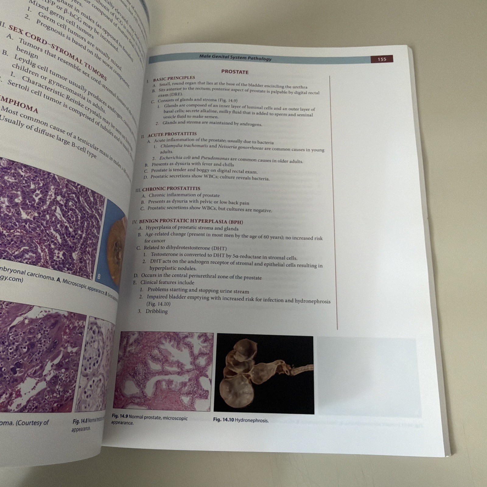 Fundamentals of Pathology by Hussain A. Sattar (2019 Paperback)