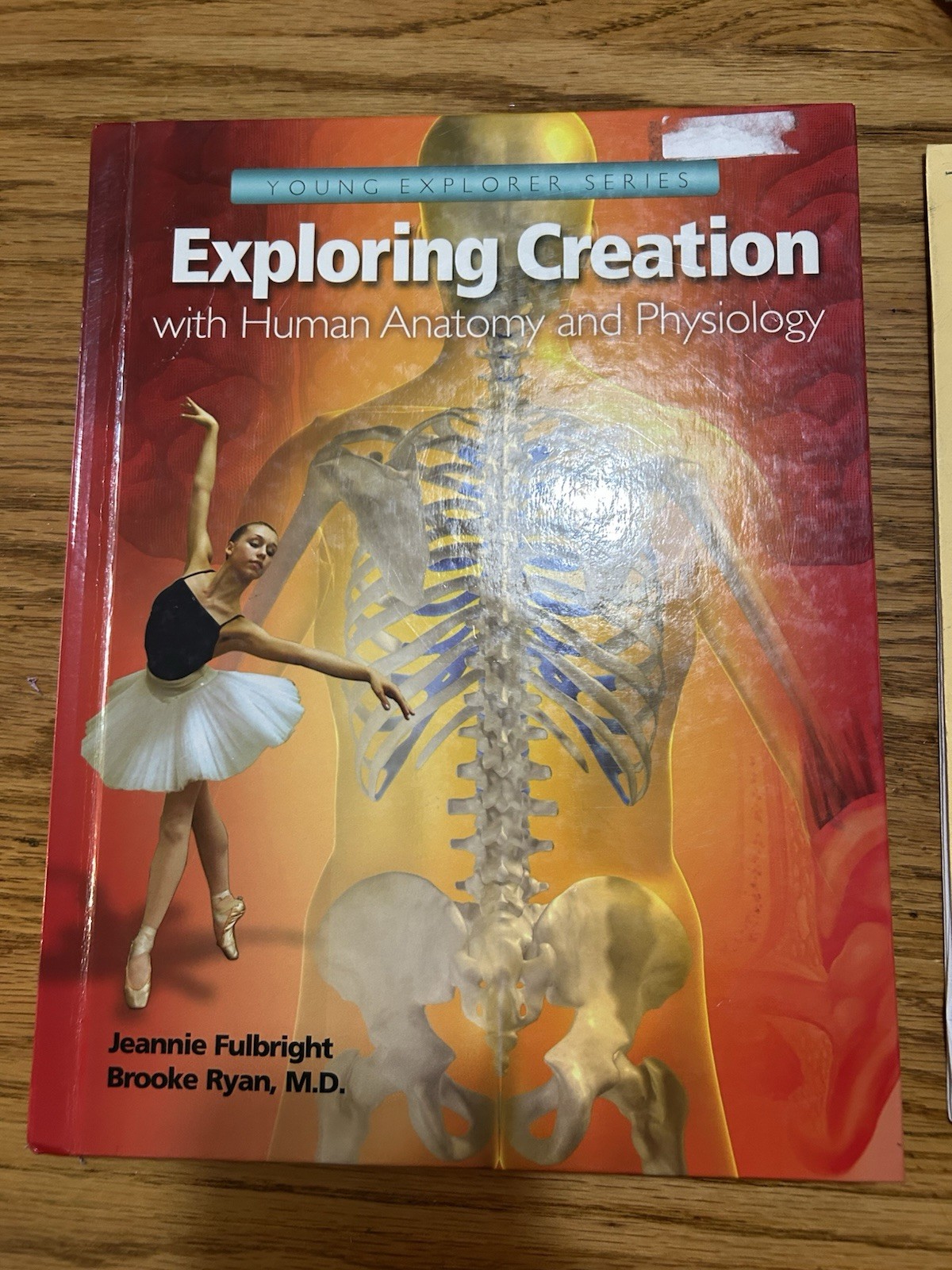 Young Explorer Series Exploring Creation With Human Anatomy And Physiology