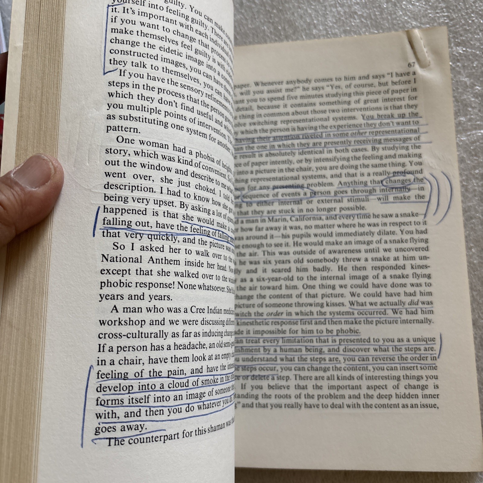 Frogs into Princes: Neuro Linguistic Programming (lots of underlining)