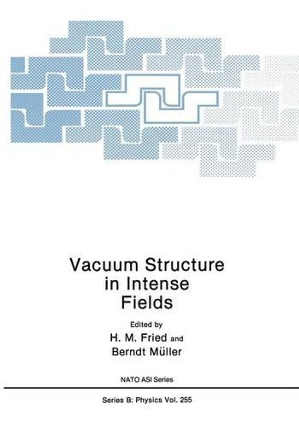 Vacuum Structure in Intense Fields by H.M. Fried (English) Paperback Book