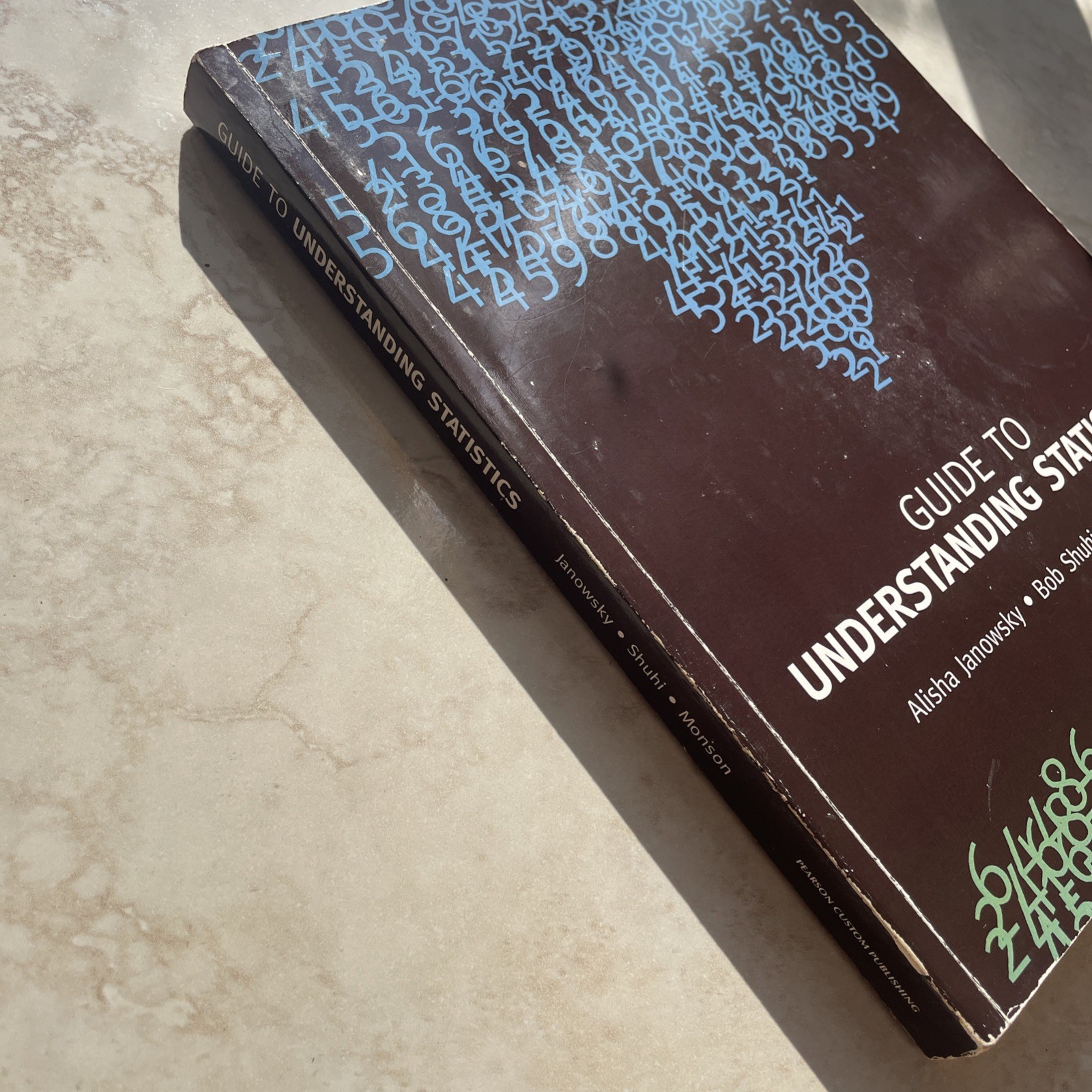 GUIDE TO UNDERSTANDING STATISTICS By Alisha Janowsky * Good Condition* RARE BOOK