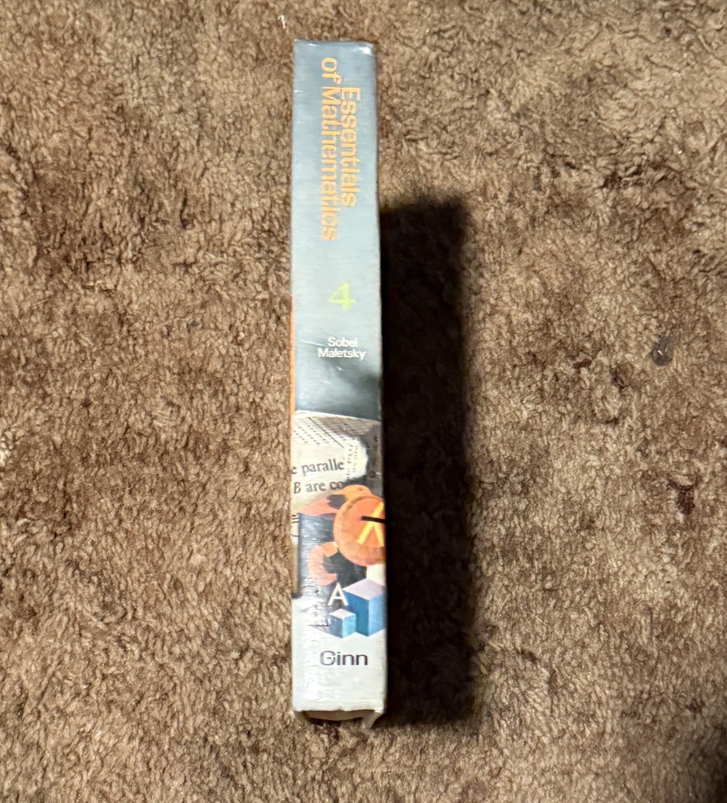 ANNOTATED EDITION: Essentials Of Mathematics Skills & Concepts 4-By Max A. Sobel