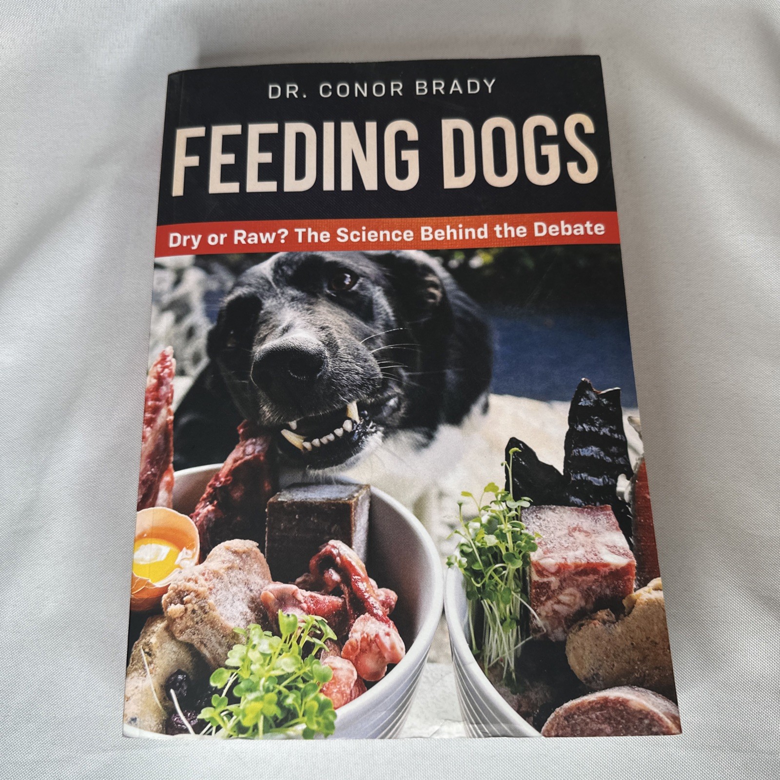 Feeding Dogs Dry or Raw? the Science Behind the Debate by Conor Brady (2020)