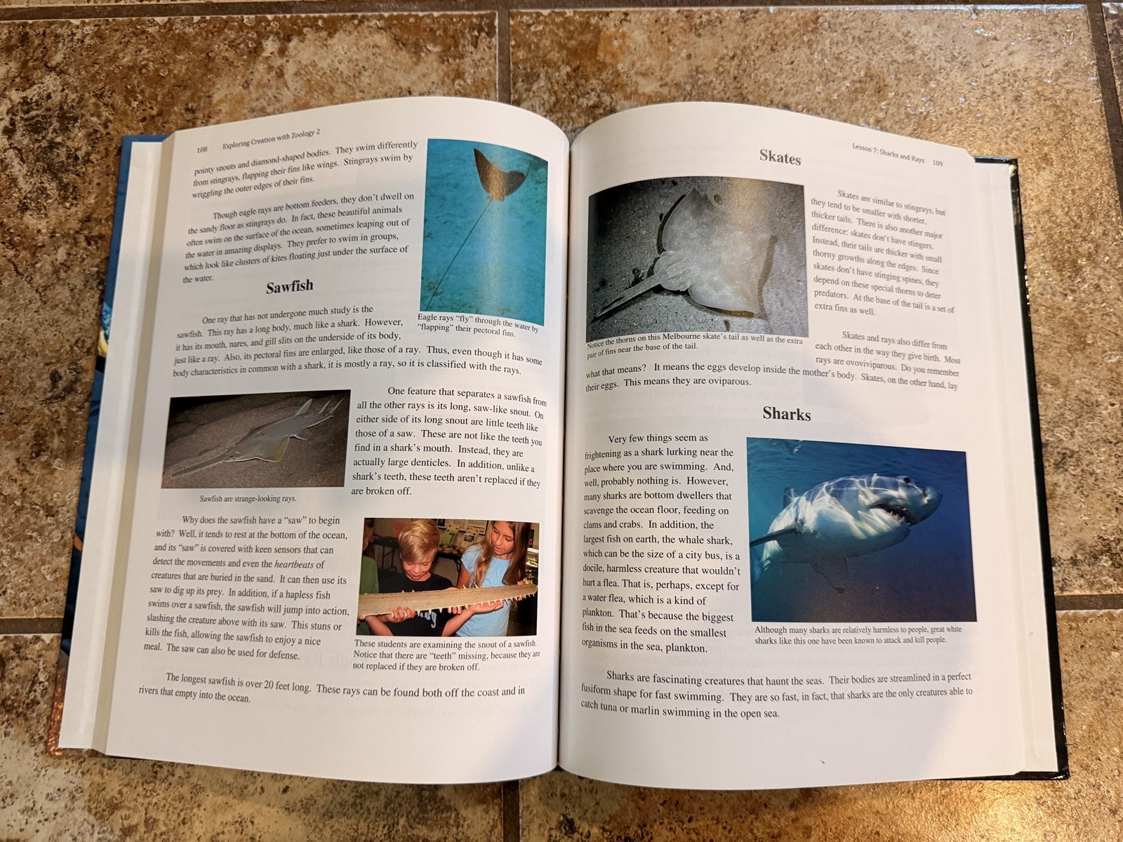 Apologia Exploring Creation with Zoology 2 Swimming Creatures HC Fulbright